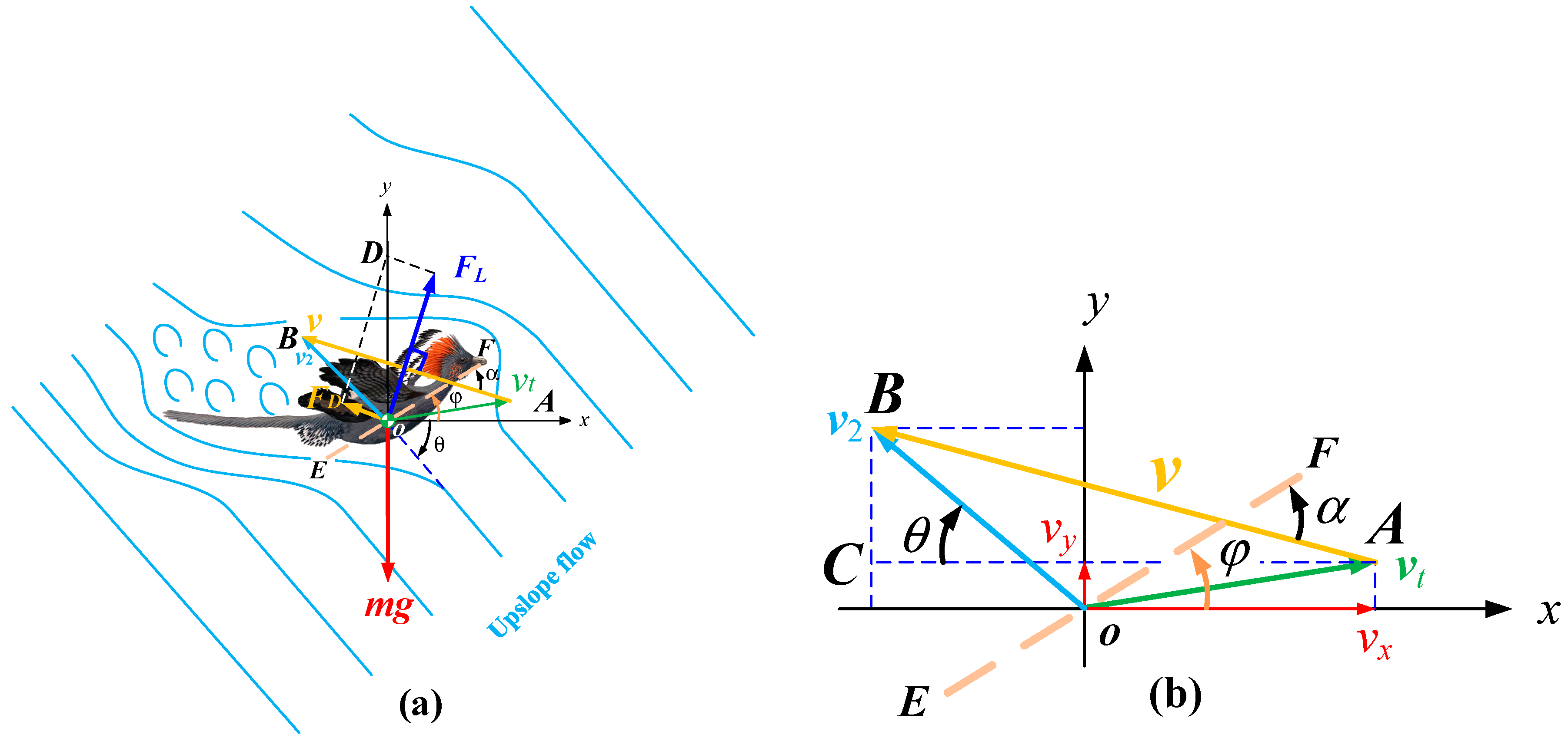 Applsci 09 00649 g002 550