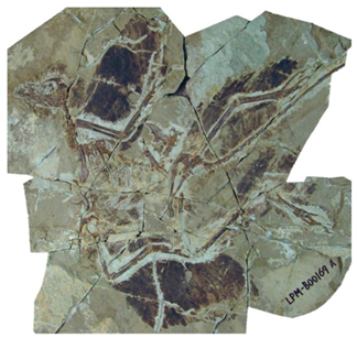 Applsci 09 00649 i002