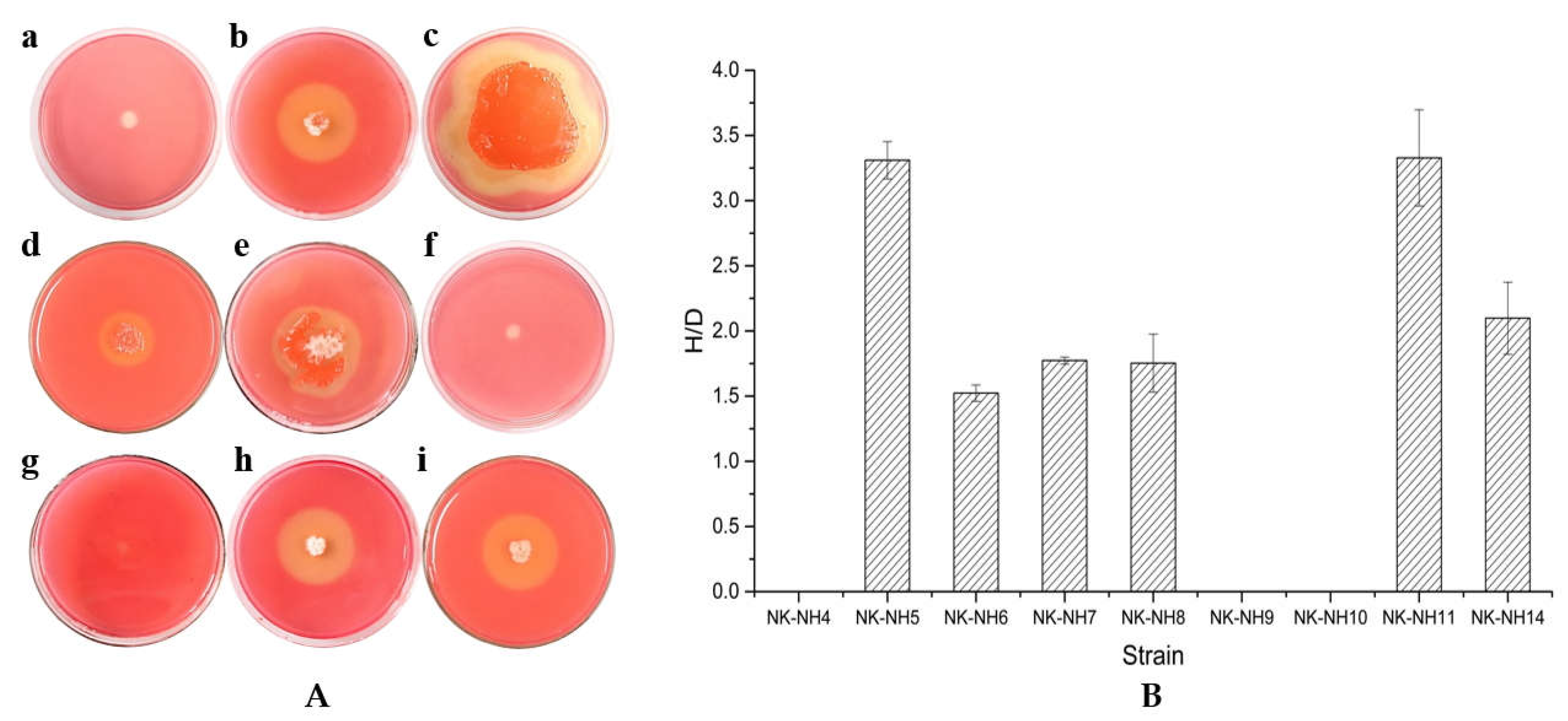 Applsci 09 00653 g002 Applsci 09 00653 g002