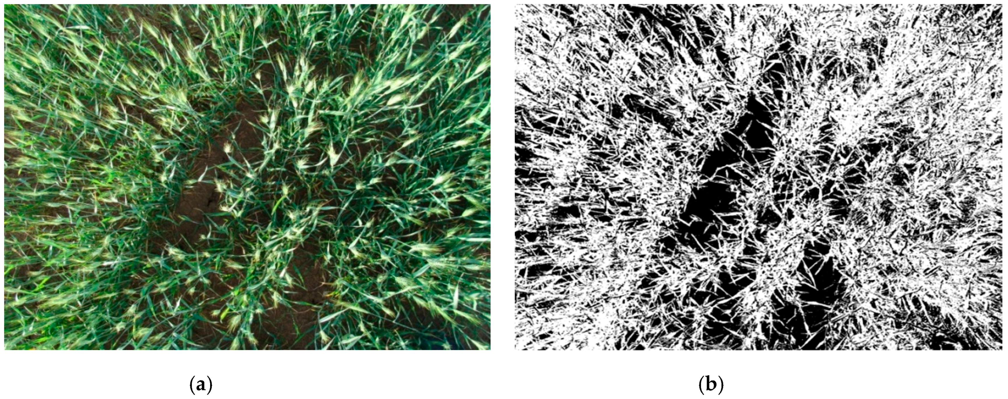 Applsci 09 00655 g010