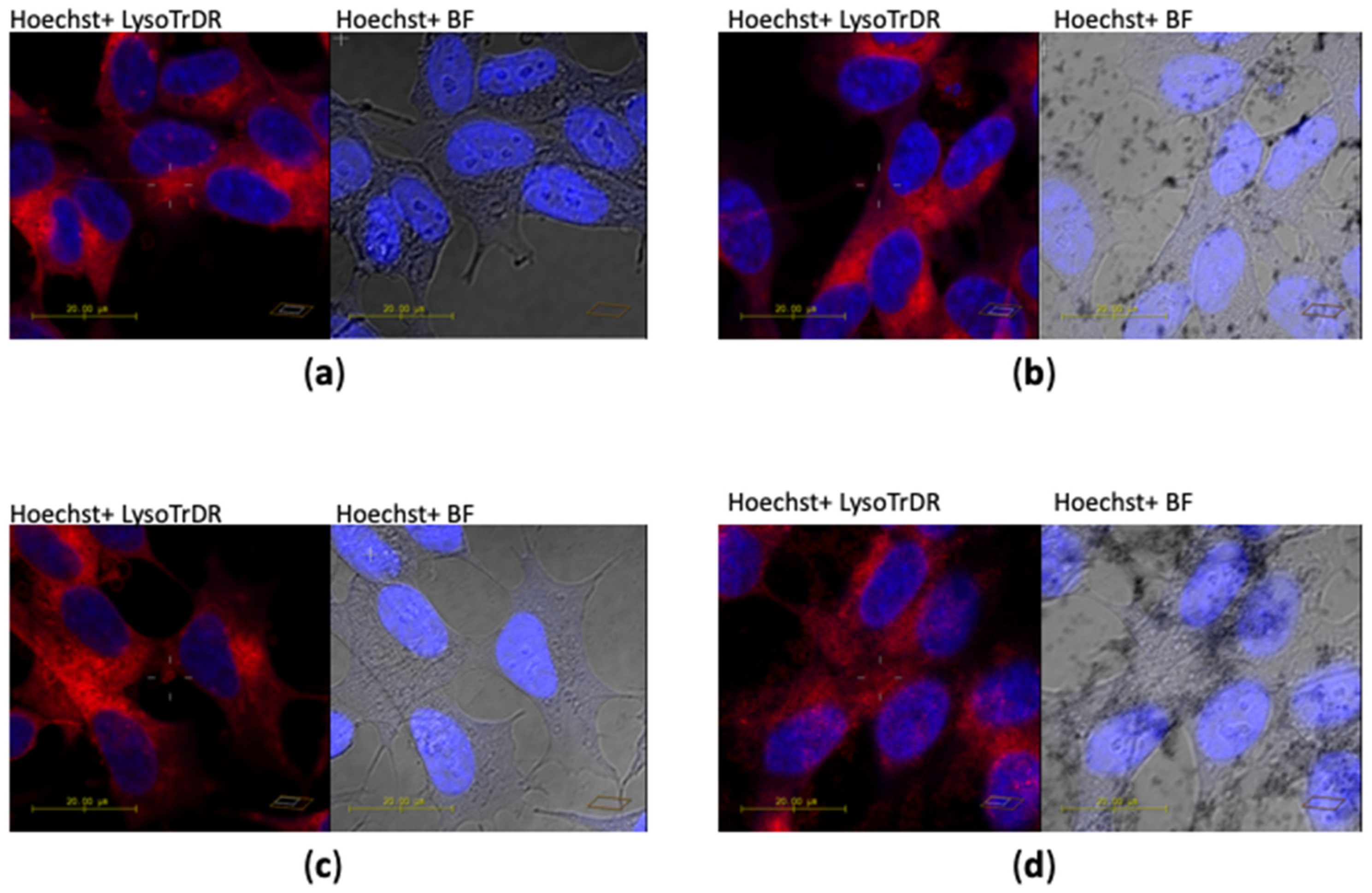 Applsci 09 00676 g008 Applsci 09 00676 g008