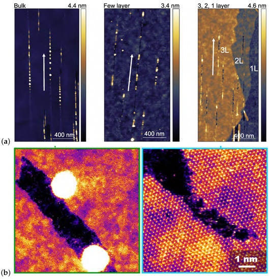Recent Progress on Irradiation-Induced Defect Engineering of