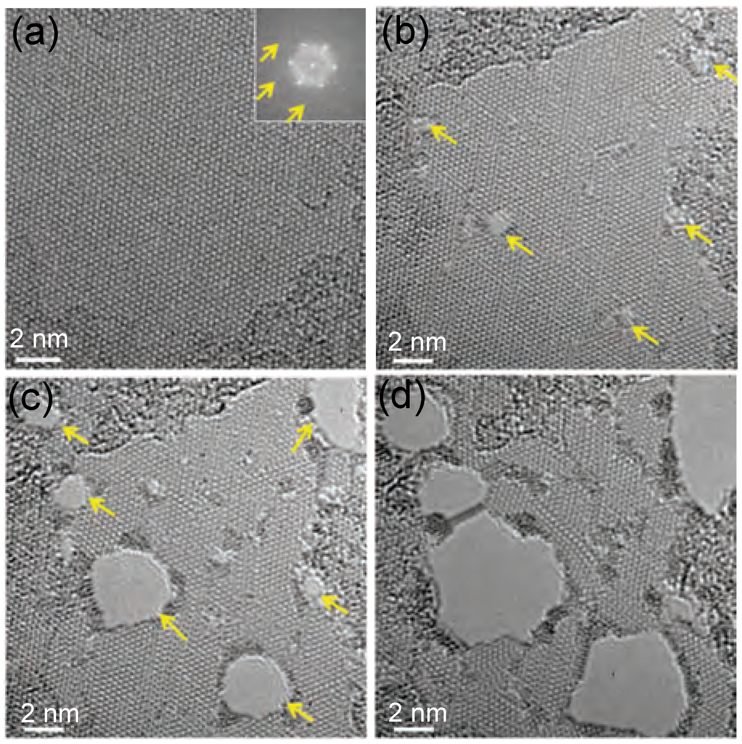 Applsci 09 00678 g020 Applsci 09 00678 g020