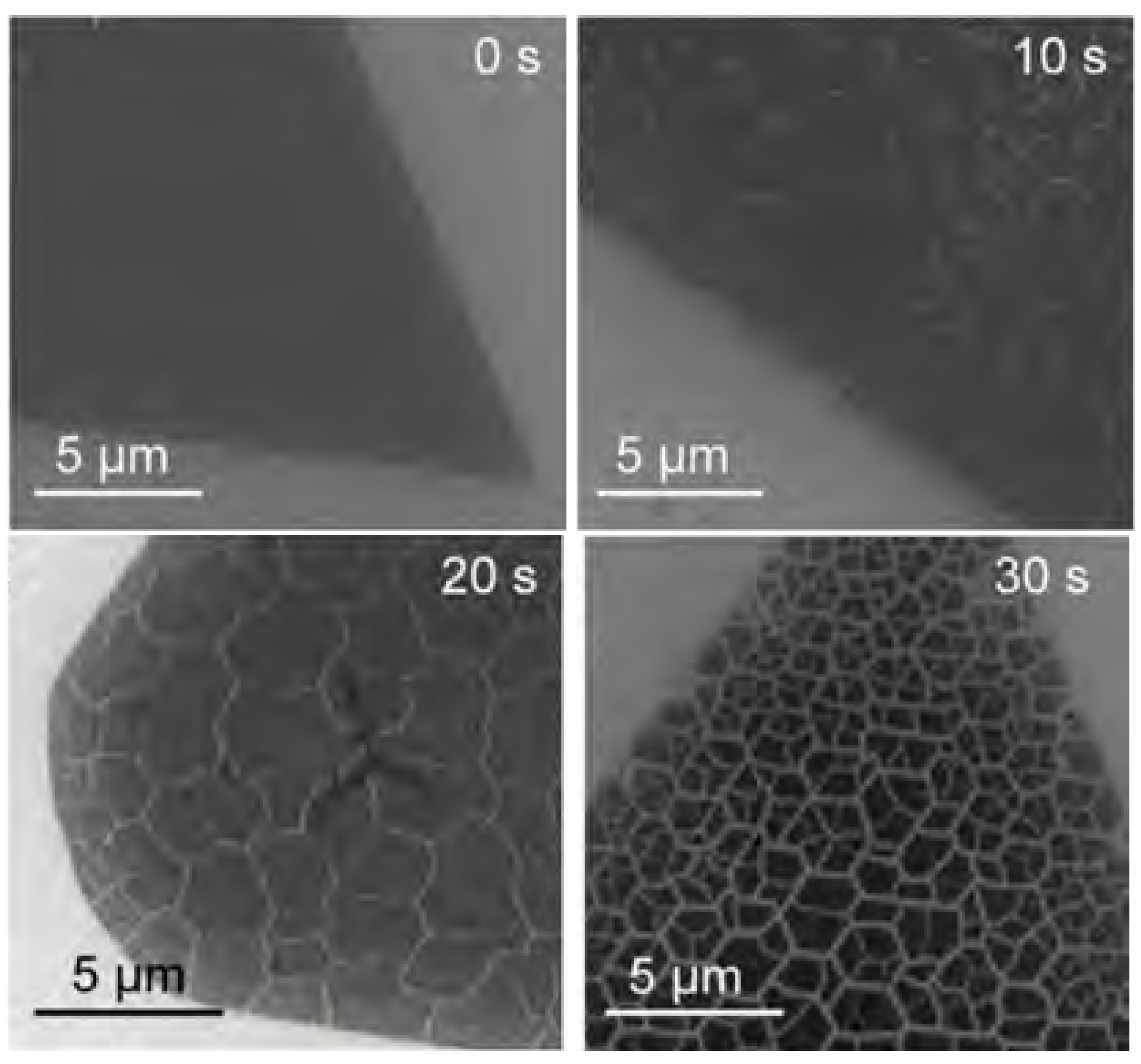 Applsci 09 00678 g024 Applsci 09 00678 g024