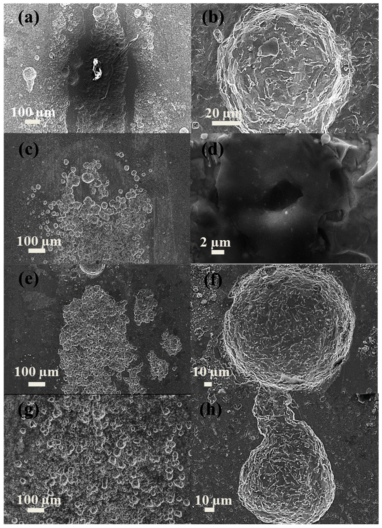 Applsci 09 00706 g004