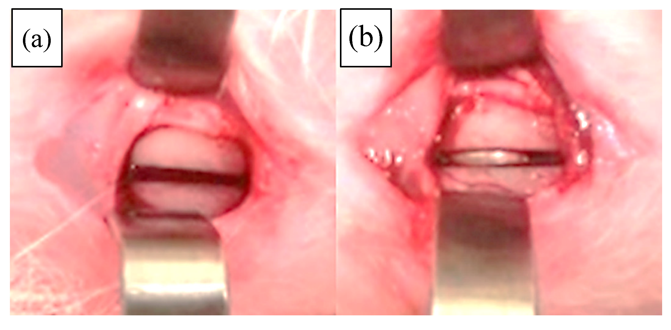 Applsci 09 00713 g001