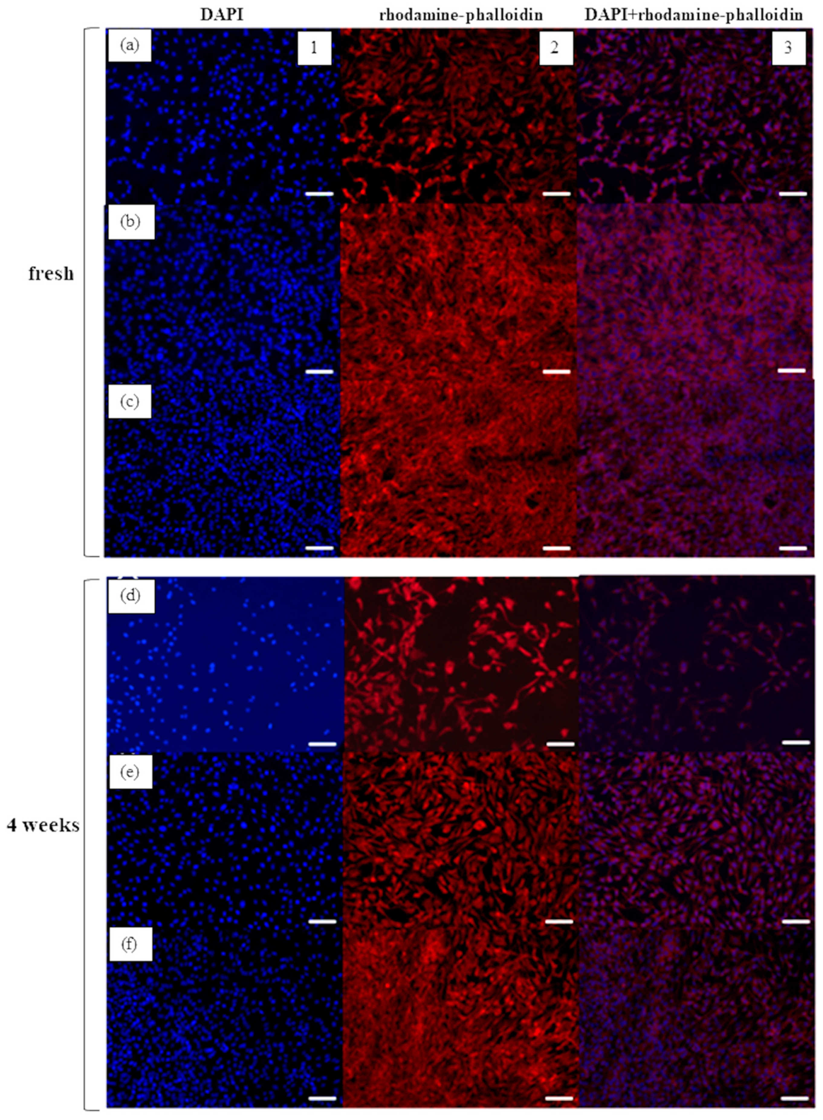 Applsci 09 00713 g007