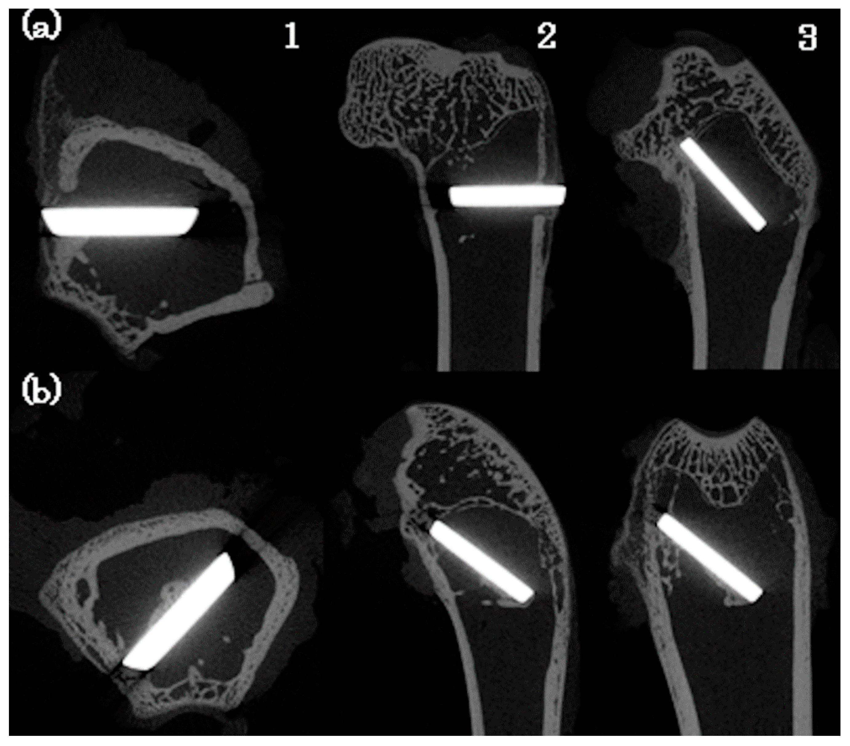 Applsci 09 00713 g010