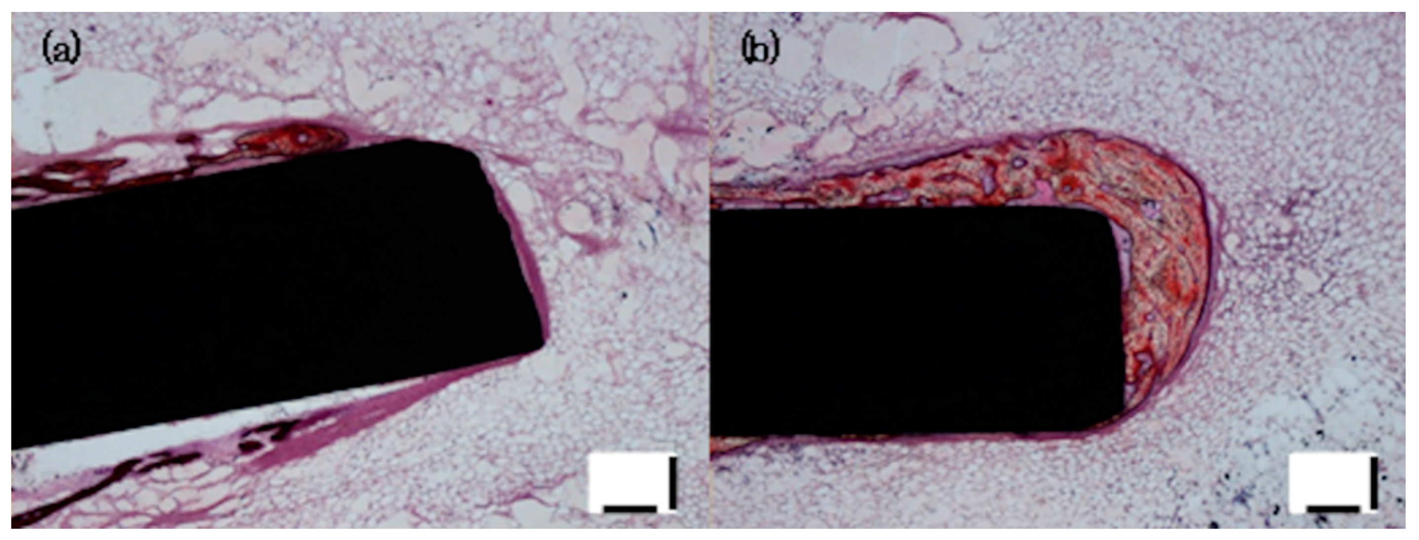 Applsci 09 00713 g011