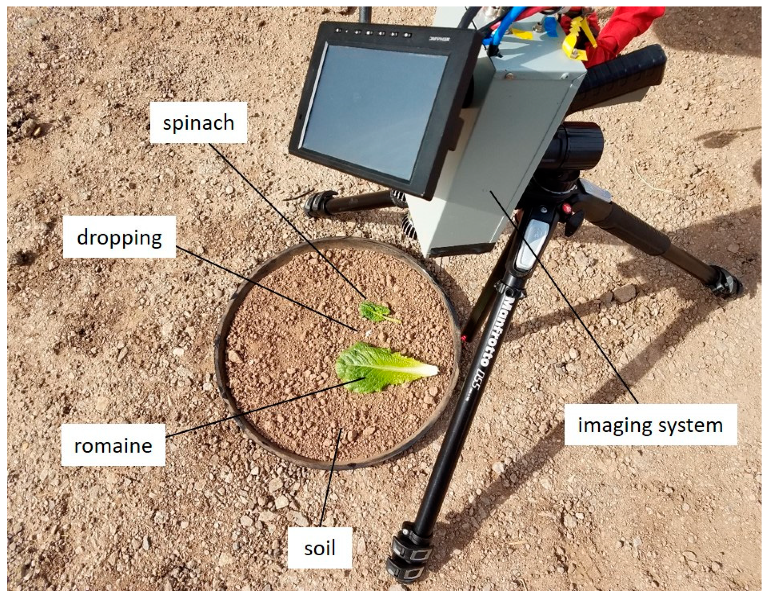 Applied Sciences | Free Full-Text | Optical Parameters for Using  Visible-Wavelength Reflectance or Fluorescence Imaging to Detect Bird  Excrements in Produce Fields
