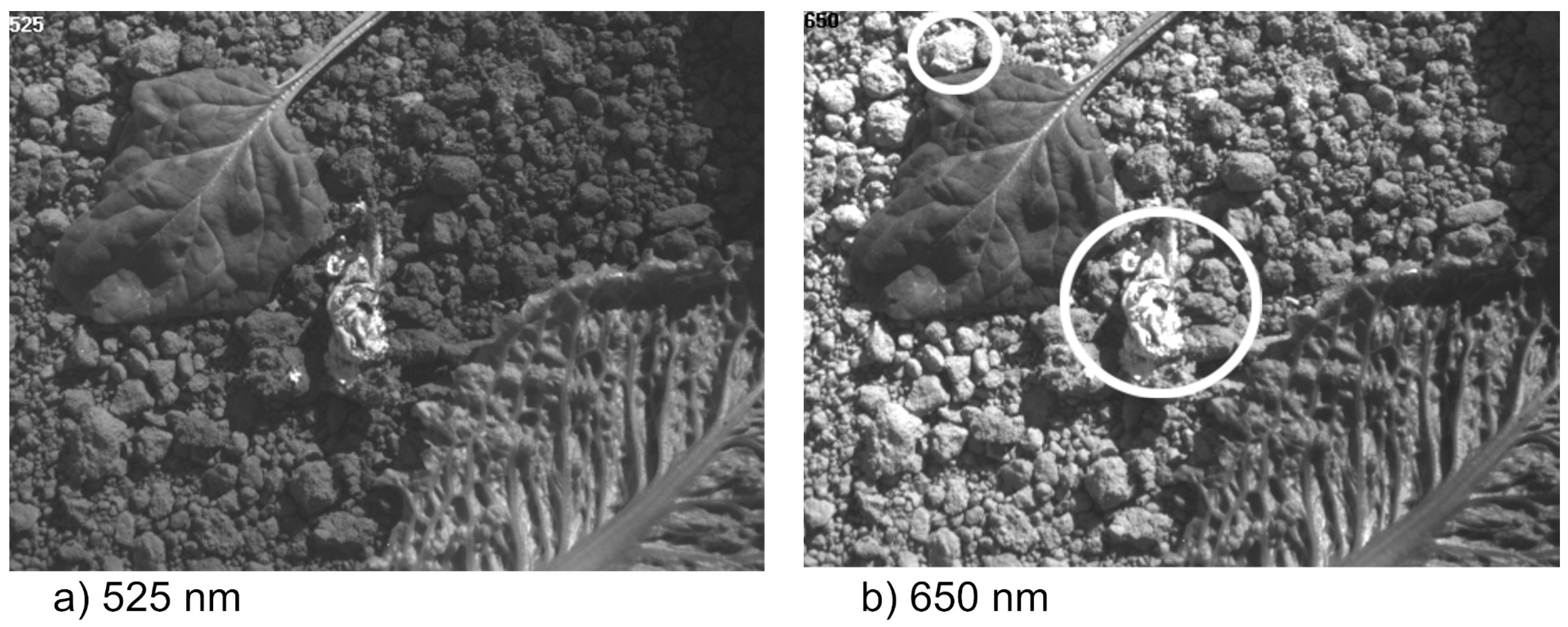 Applsci 09 00715 g009