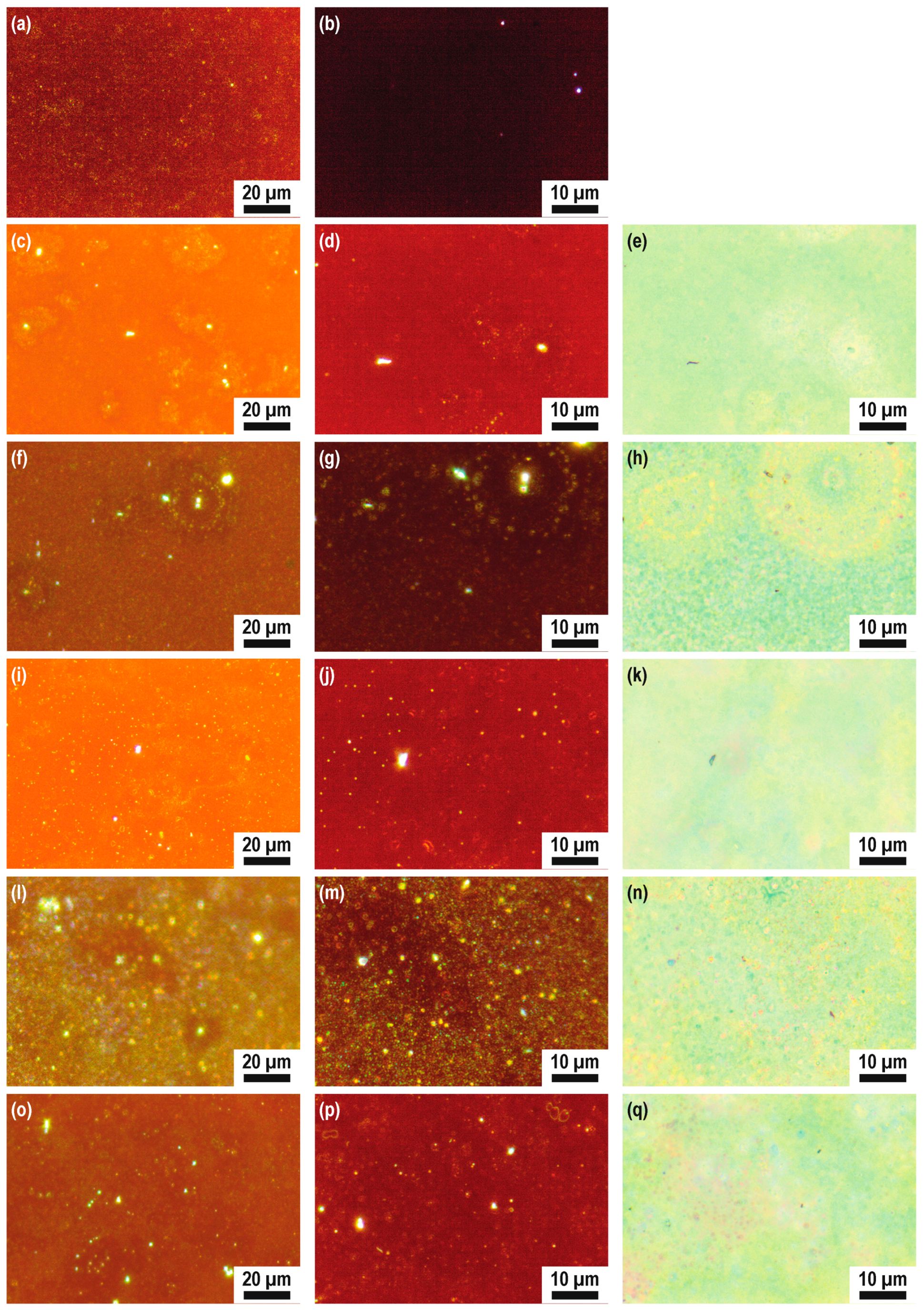 Applsci 09 00736 g0a3 Applsci 09 00736 g0a3