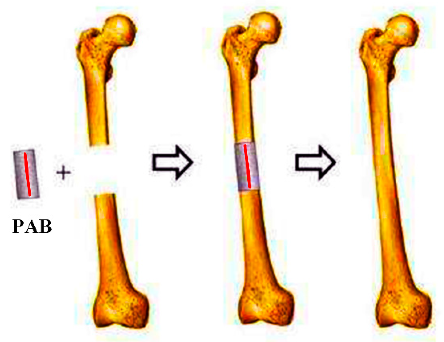 Applsci 09 00739 g002