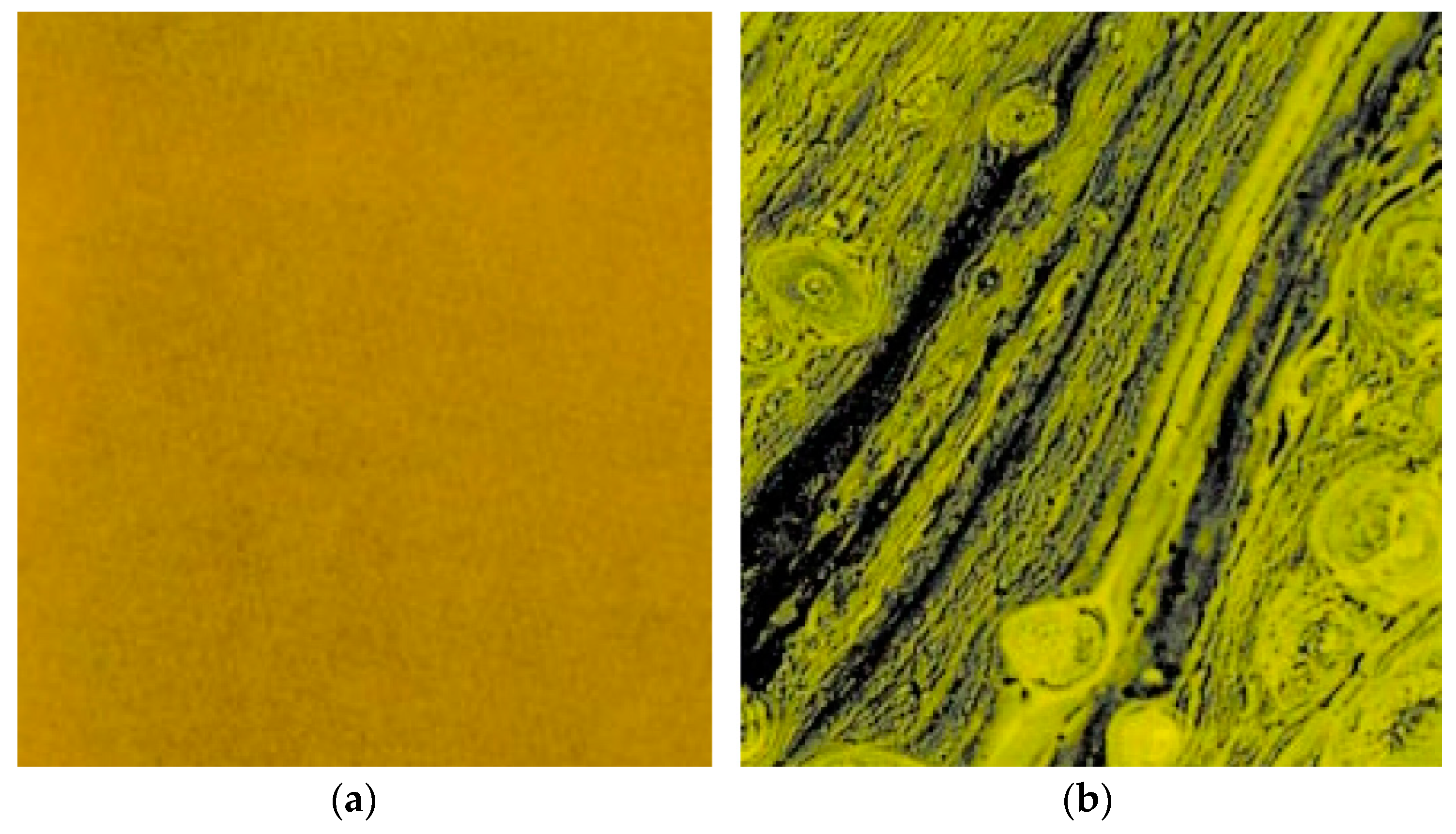 Applsci 09 00742 g007 550