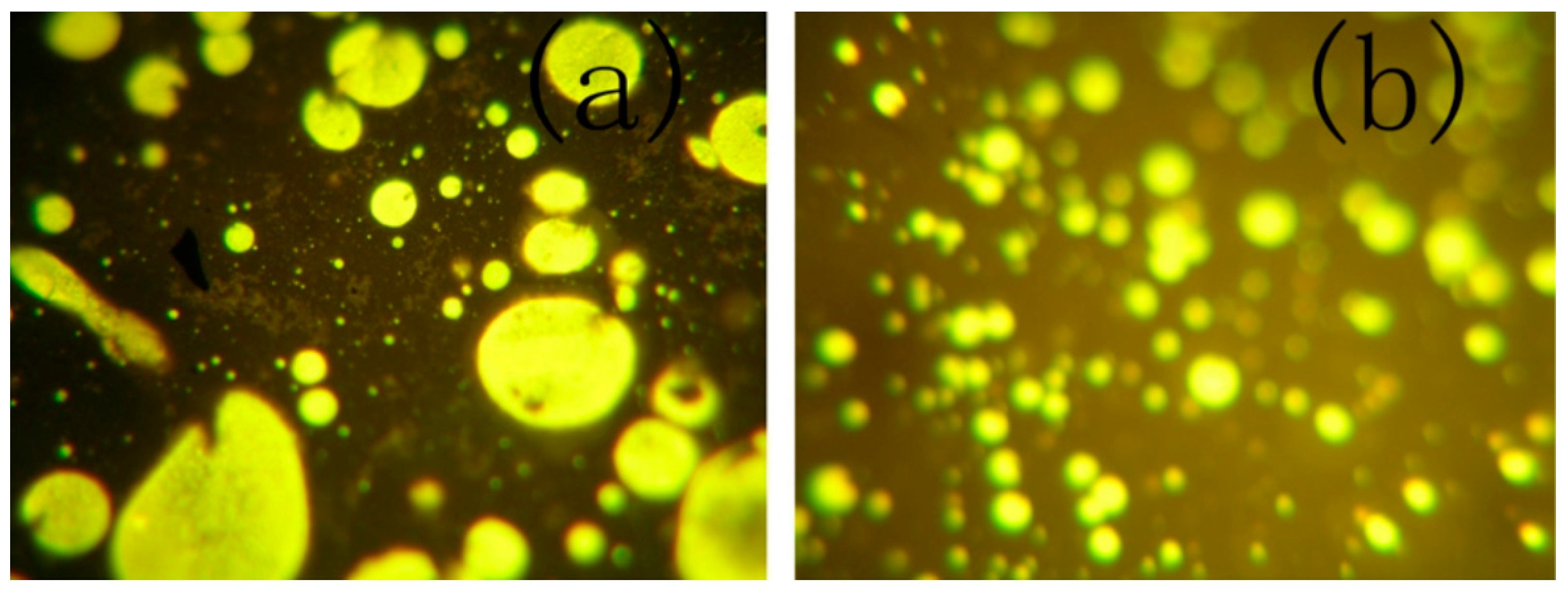 Applsci 09 00742 g008 550