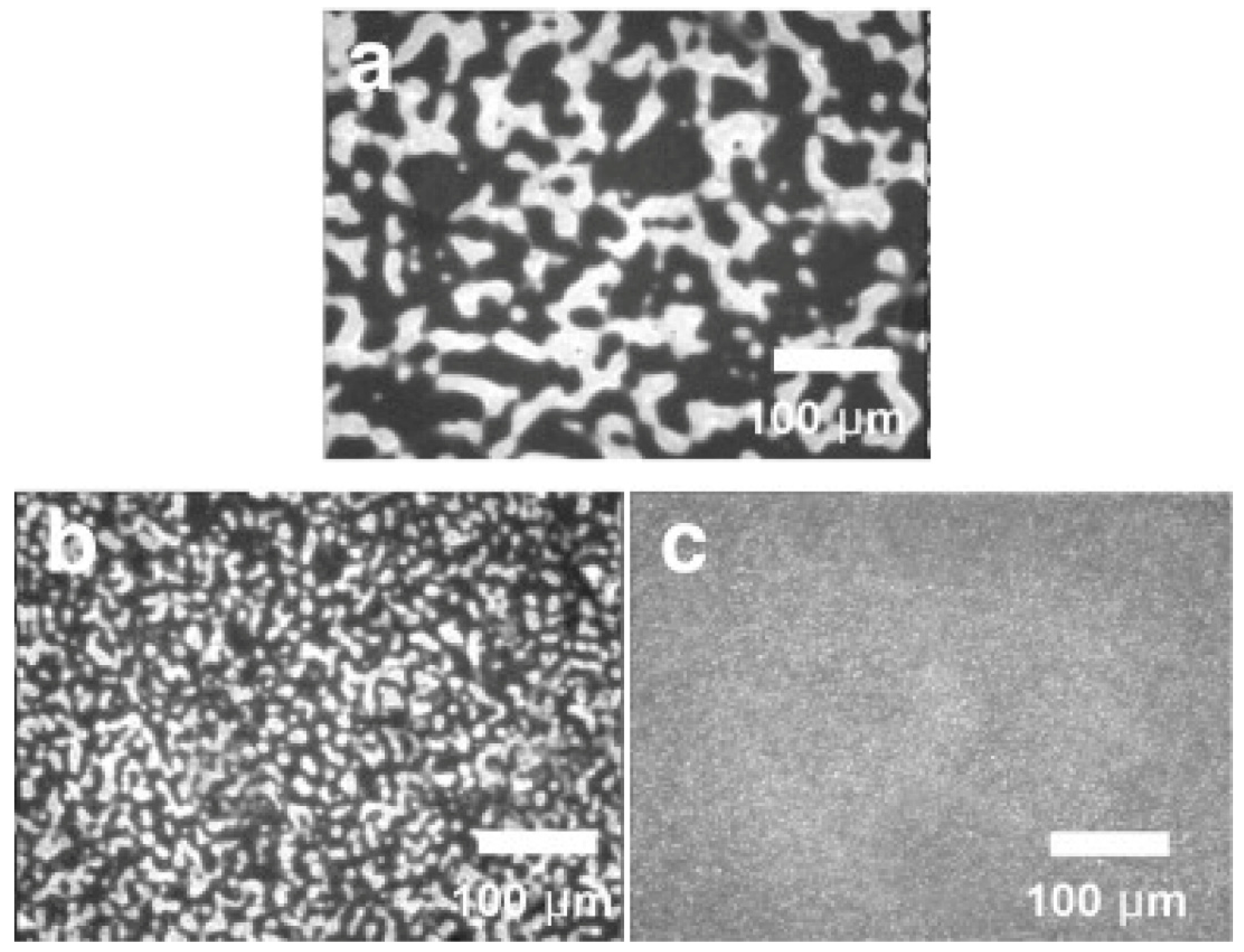 Applsci 09 00742 g013 550