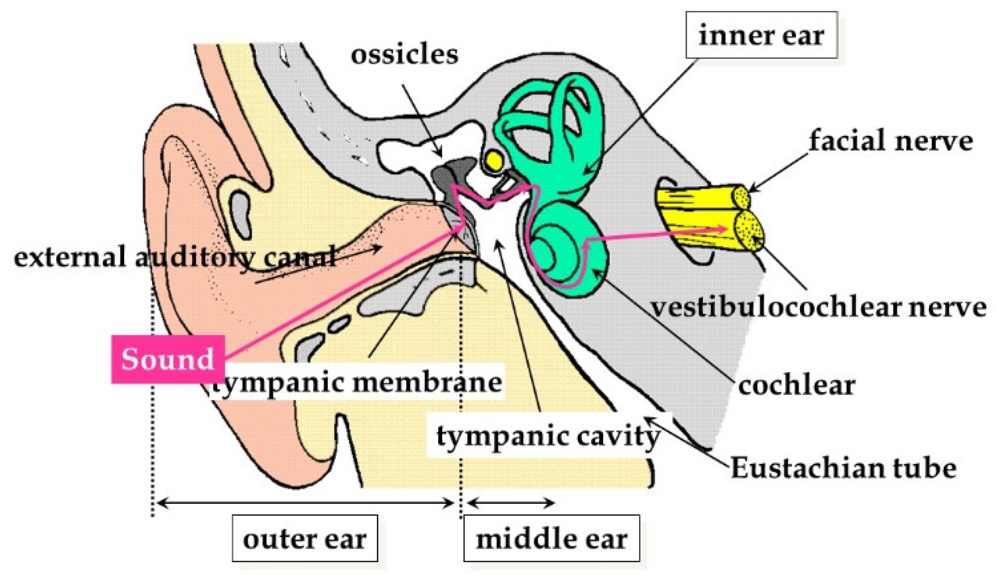 Applsci 09 00765 g001 550