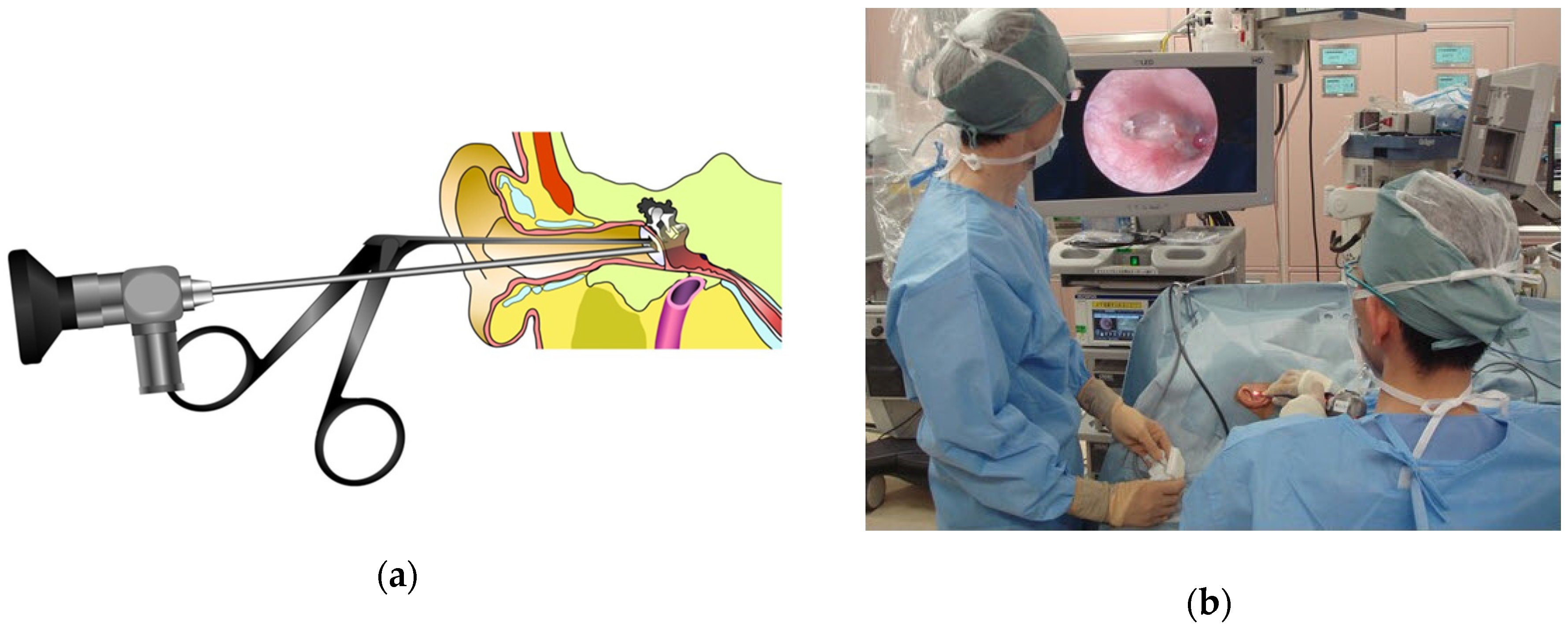 Applsci 09 00765 g005 550