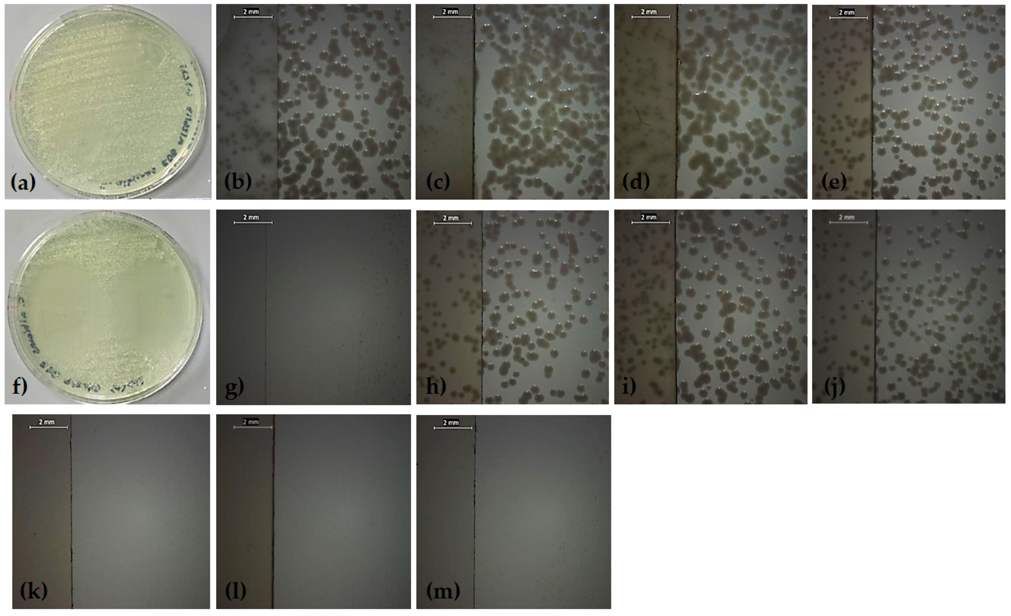 Applsci 09 00786 g005