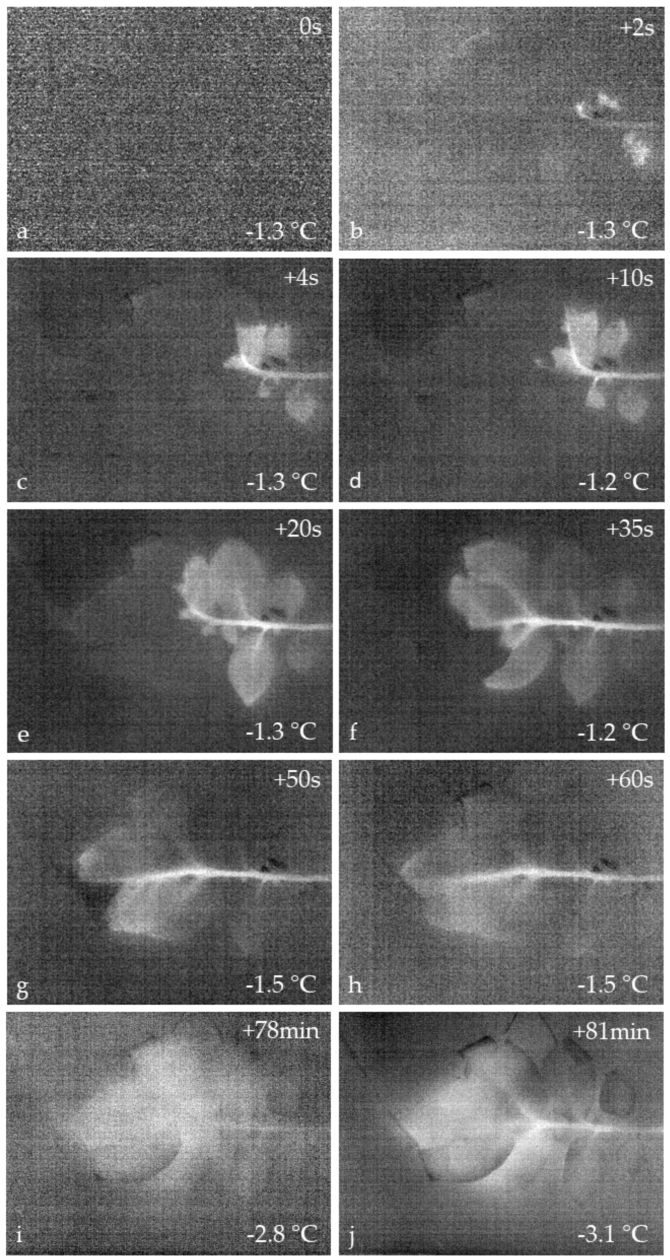 Applsci 09 00819 g003