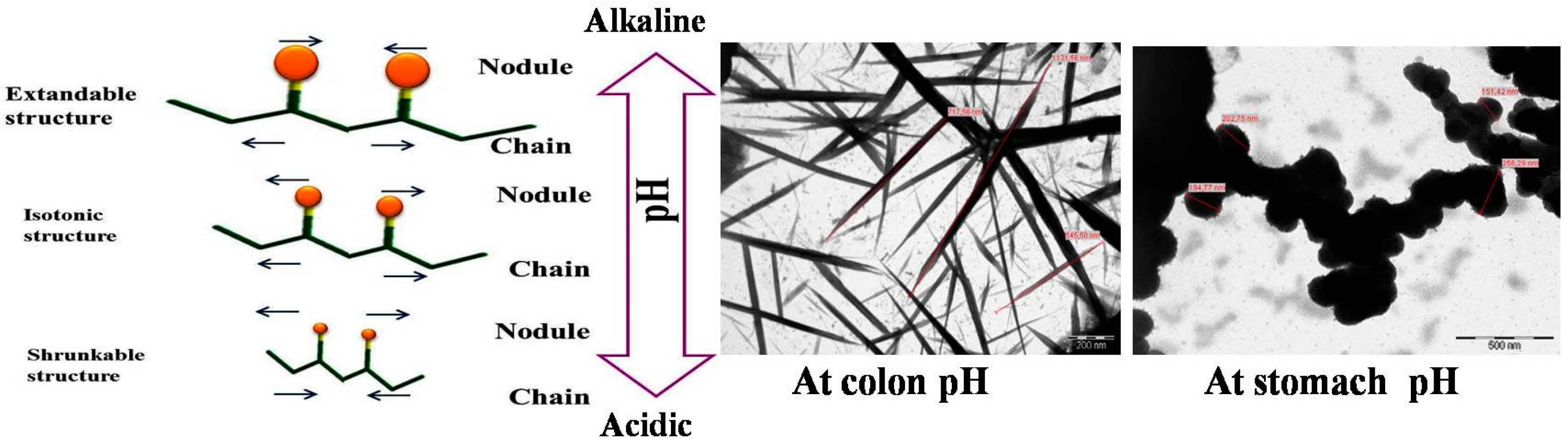 Applsci 09 00825 g004