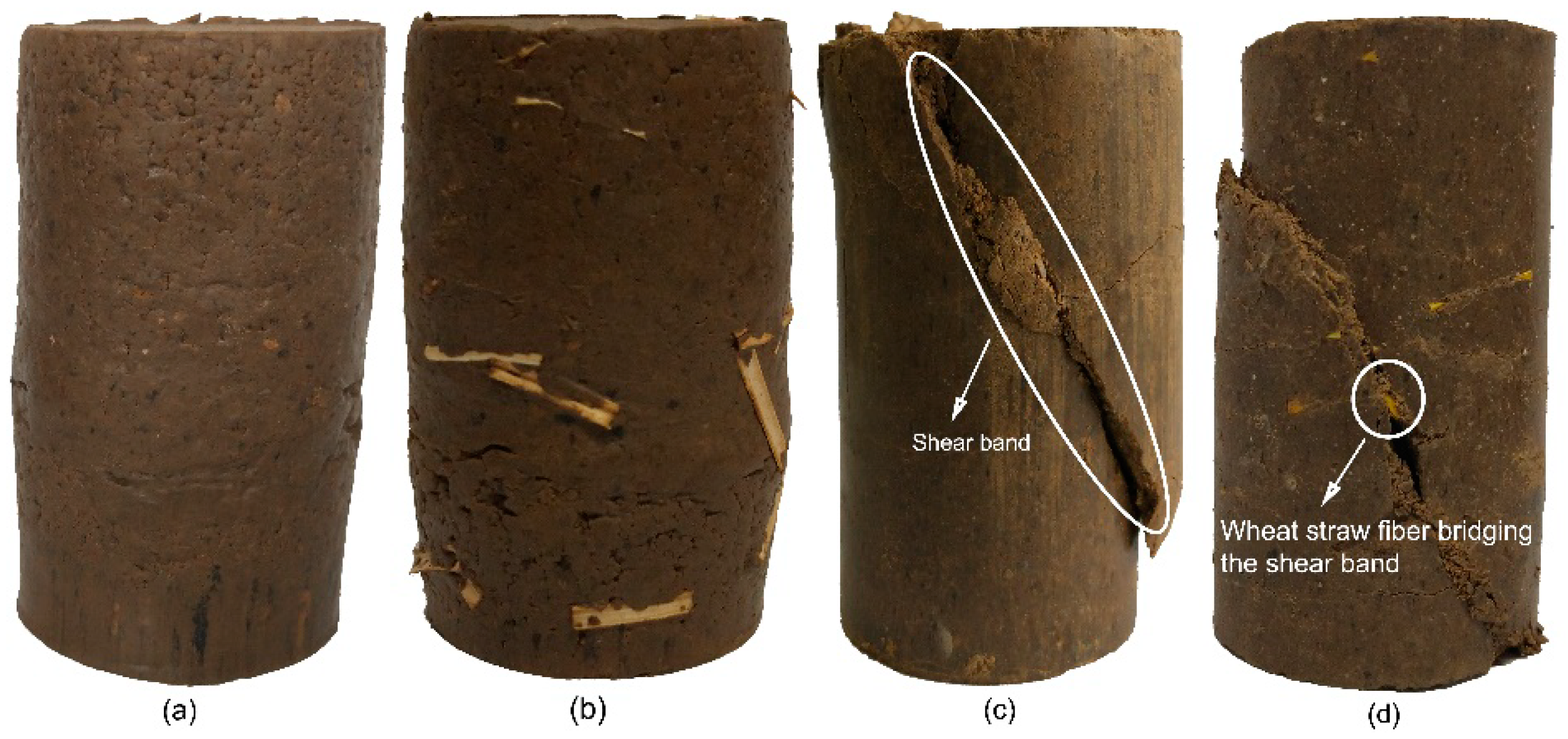 Applied Sciences Free FullText Behavior of FiberReinforced and