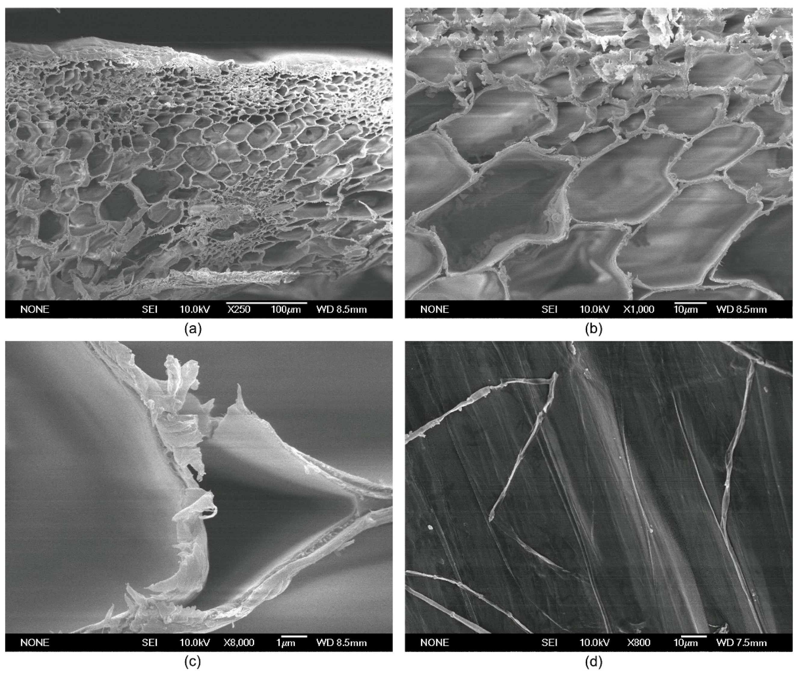 Applsci 09 00900 g007