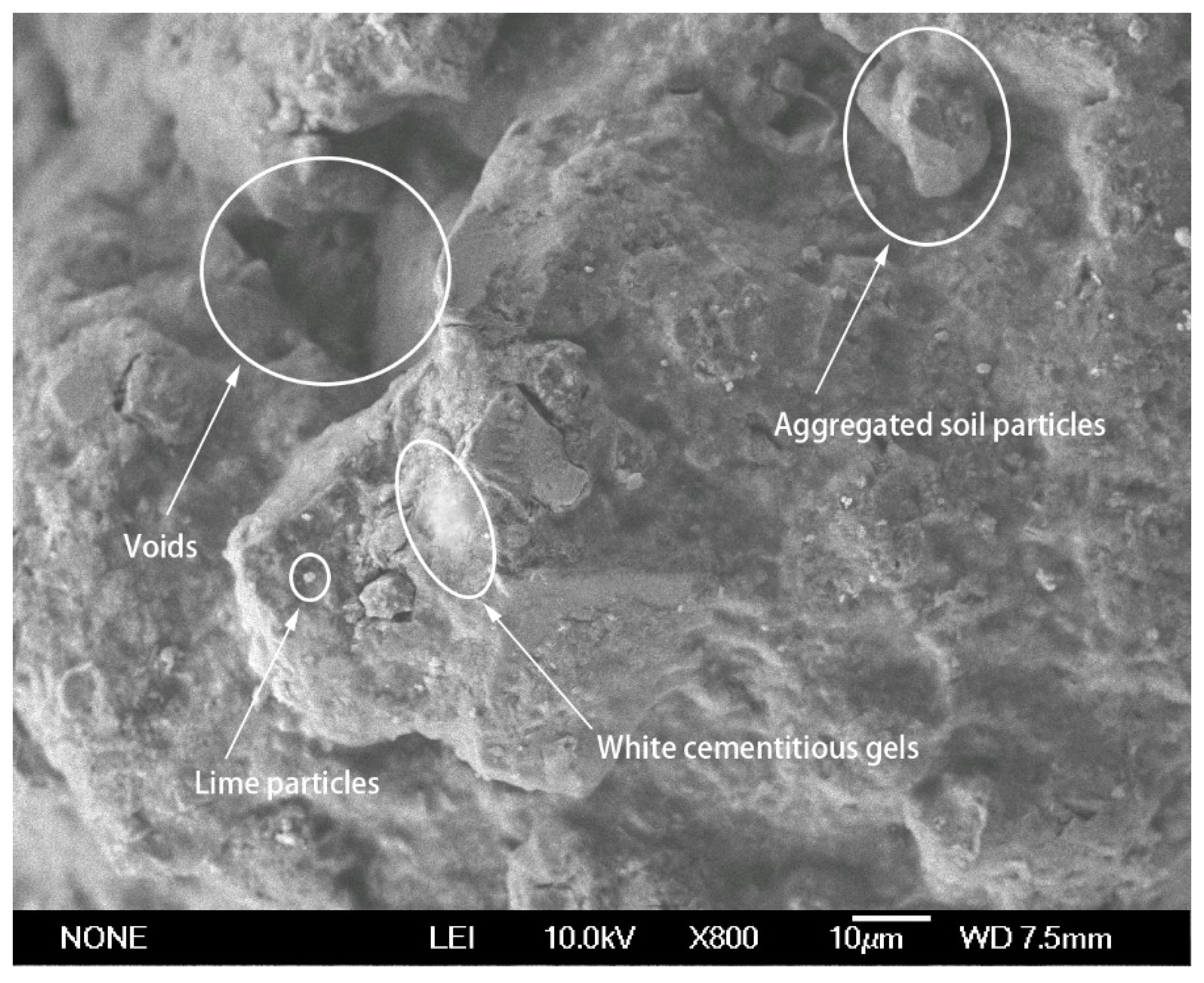 Applsci 09 00900 g010