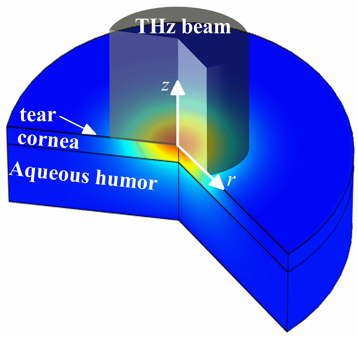 Applsci 09 00917 g001 Applsci 09 00917 g001