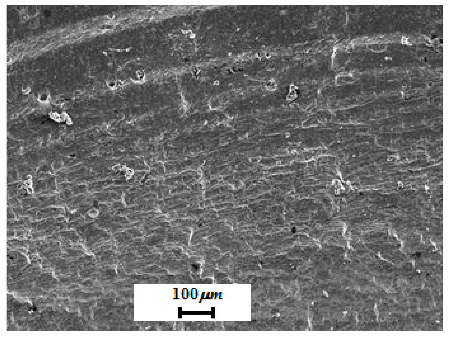 Applsci 09 00918 g012