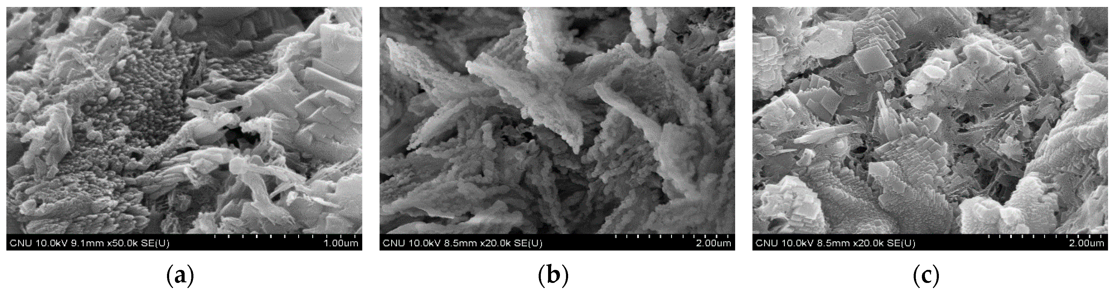 Applsci 09 00943 g006