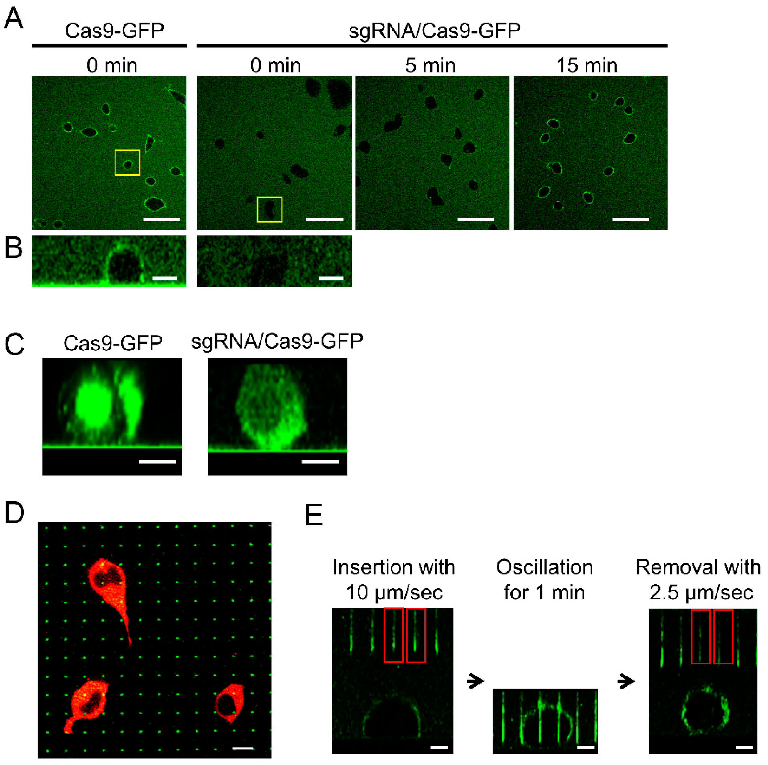 Applsci 09 00965 g002 Applsci 09 00965 g002