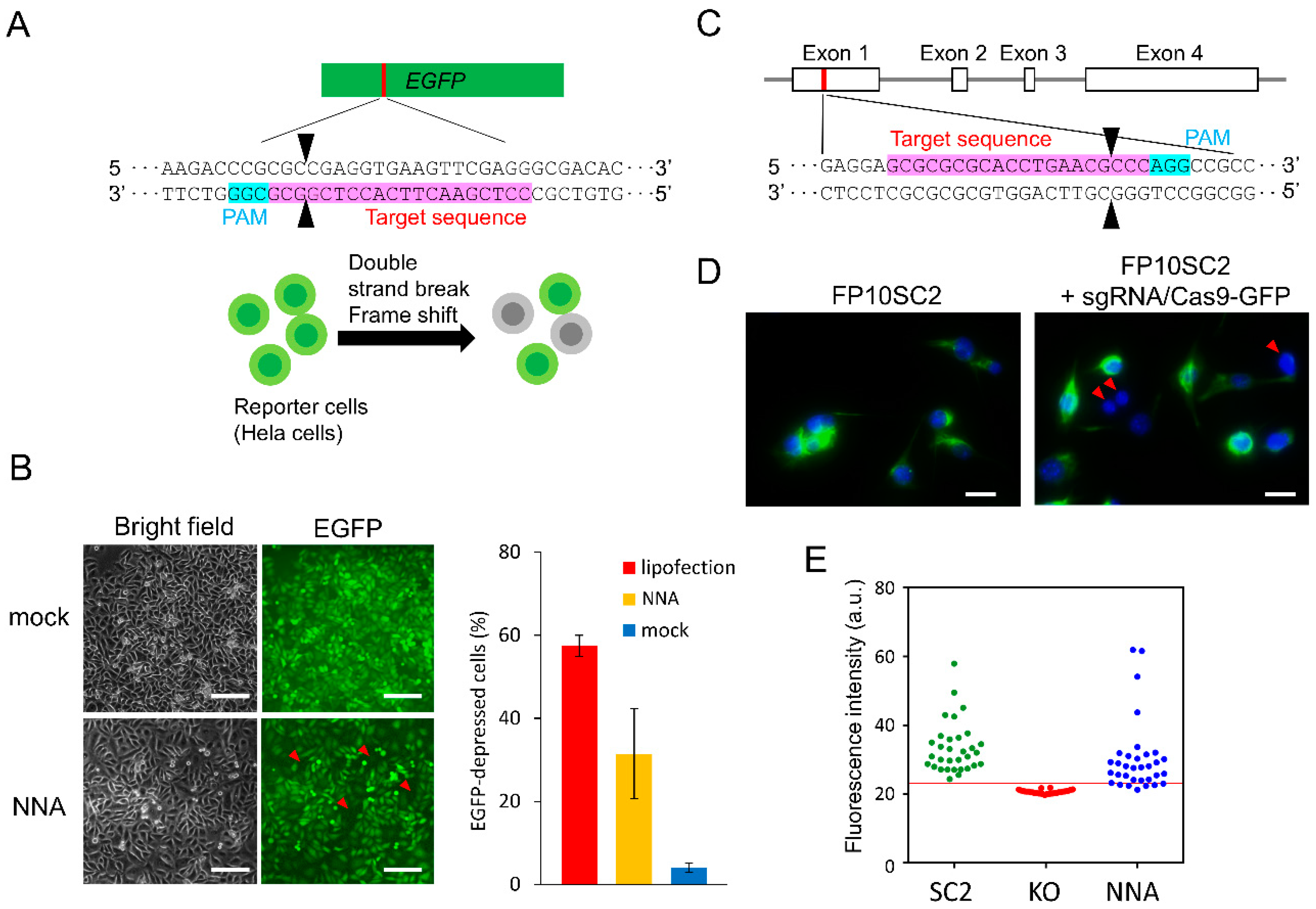 Applsci 09 00965 g003 Applsci 09 00965 g003