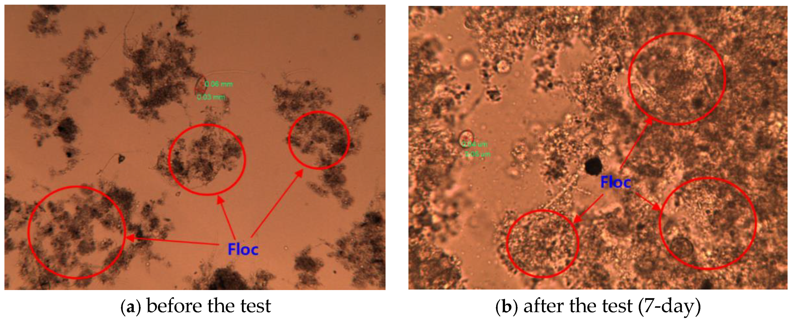 Applsci 09 00972 g009