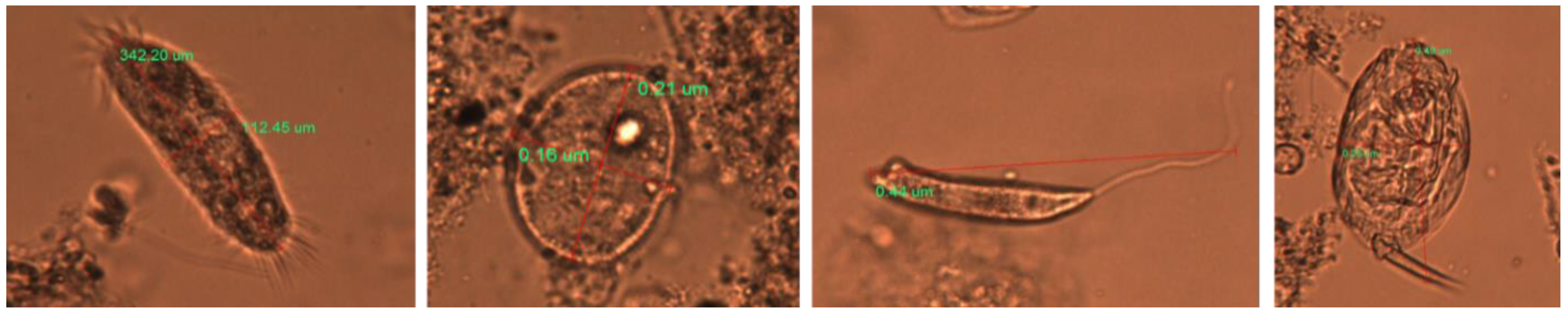 Applsci 09 00972 g010