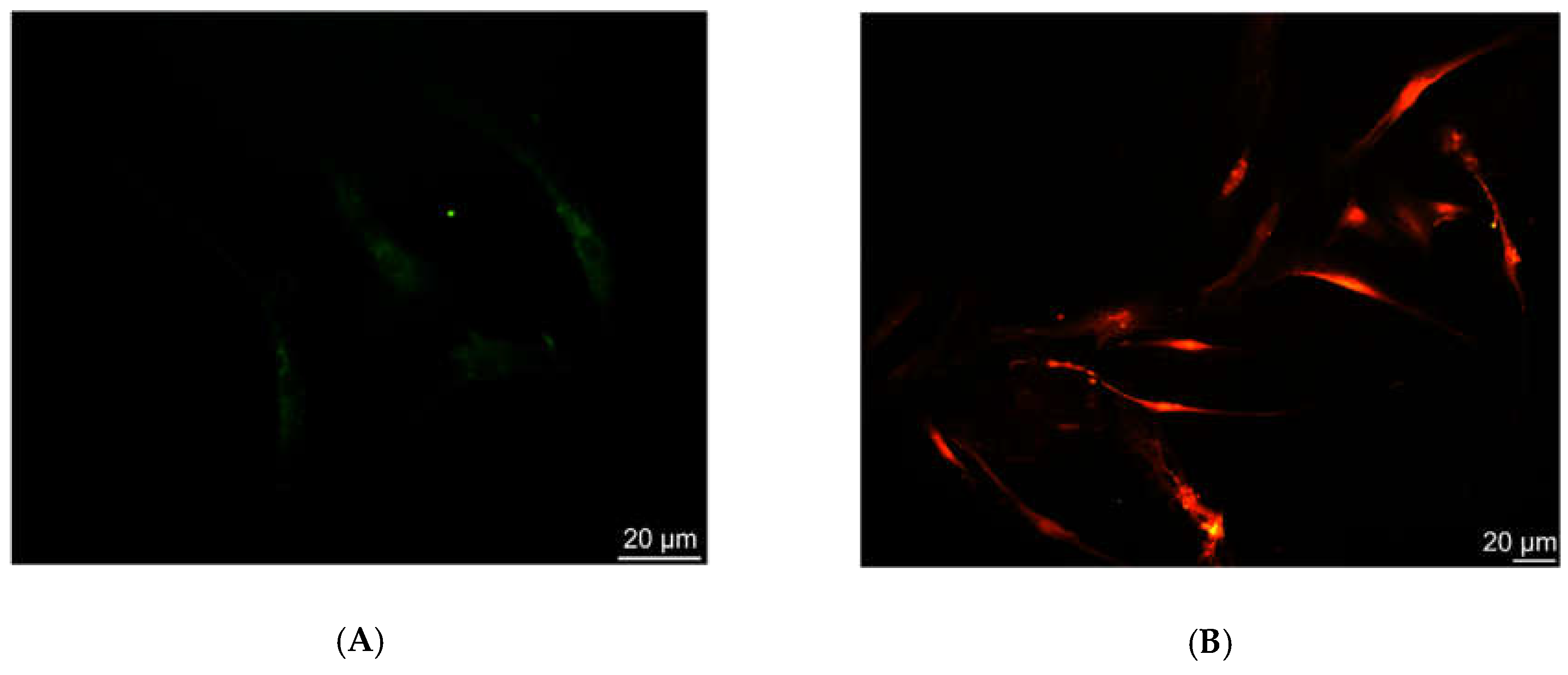 Applsci 09 00975 g003