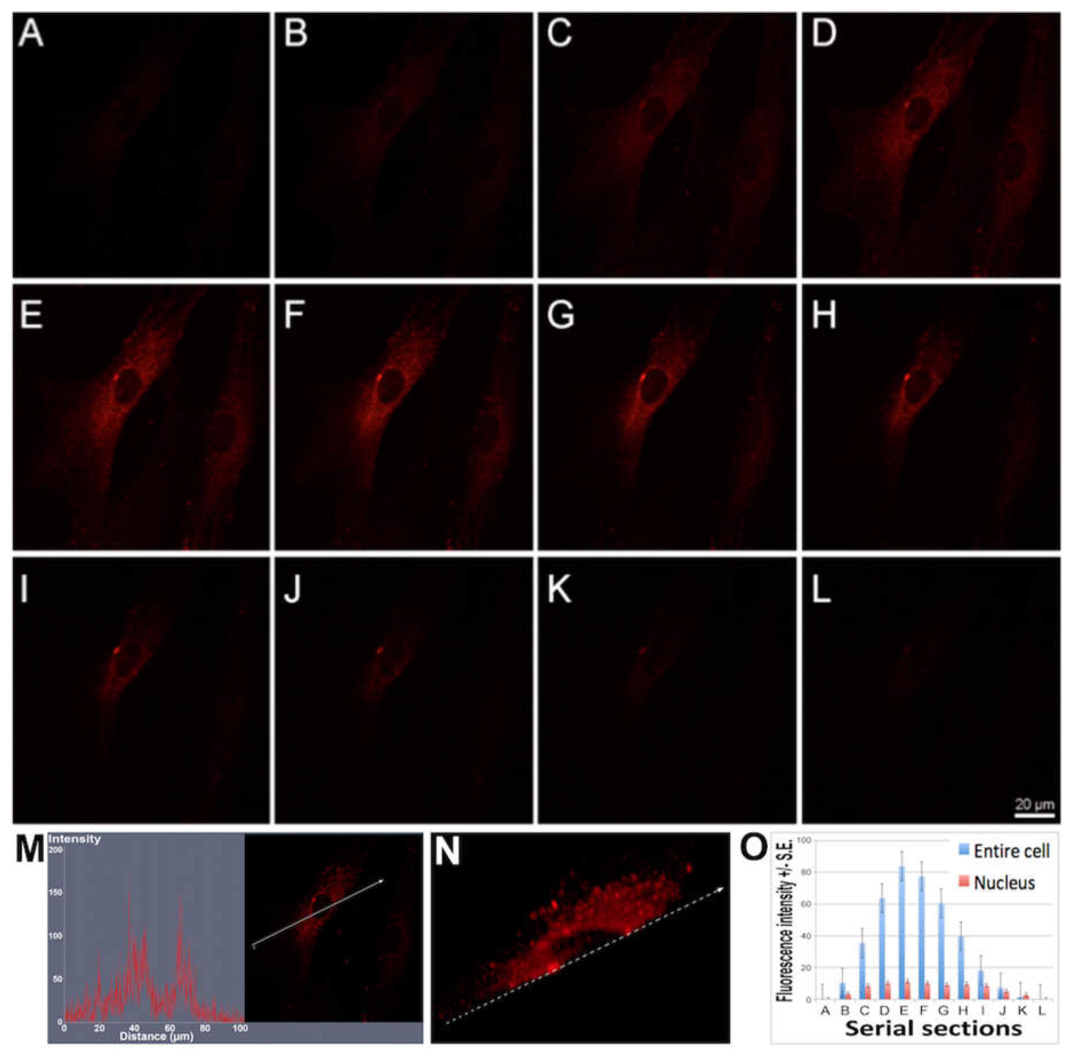 Applsci 09 00975 g004