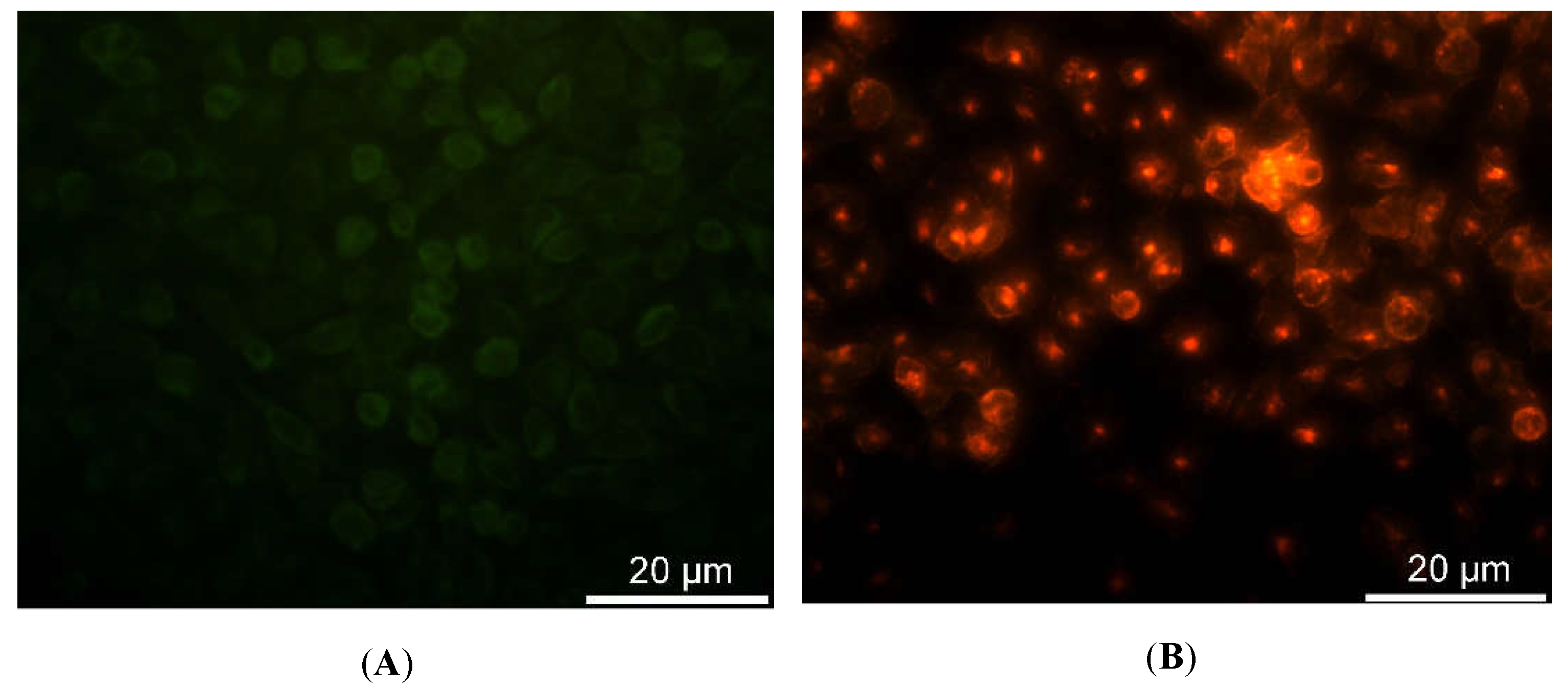 Applsci 09 00975 g008