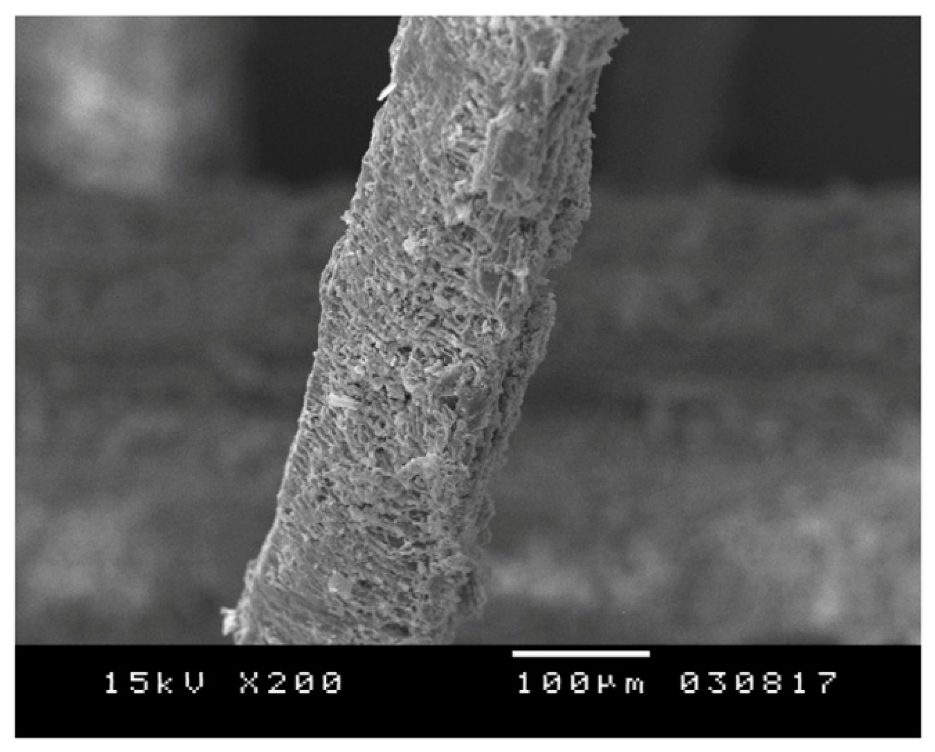 Applsci 09 00981 g003