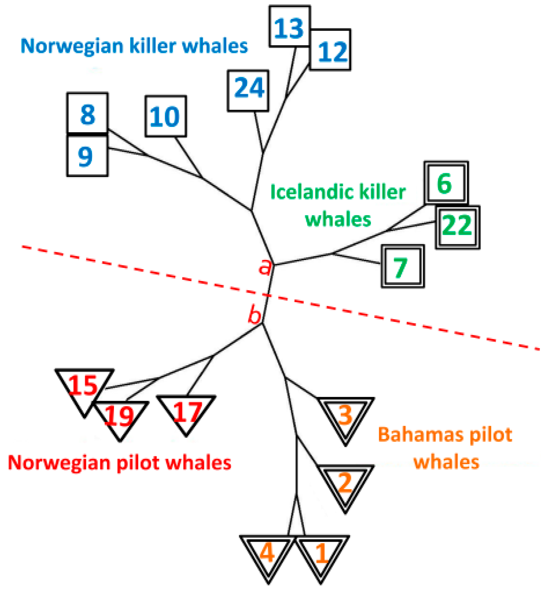 Applsci 09 01020 g004 Applsci 09 01020 g004
