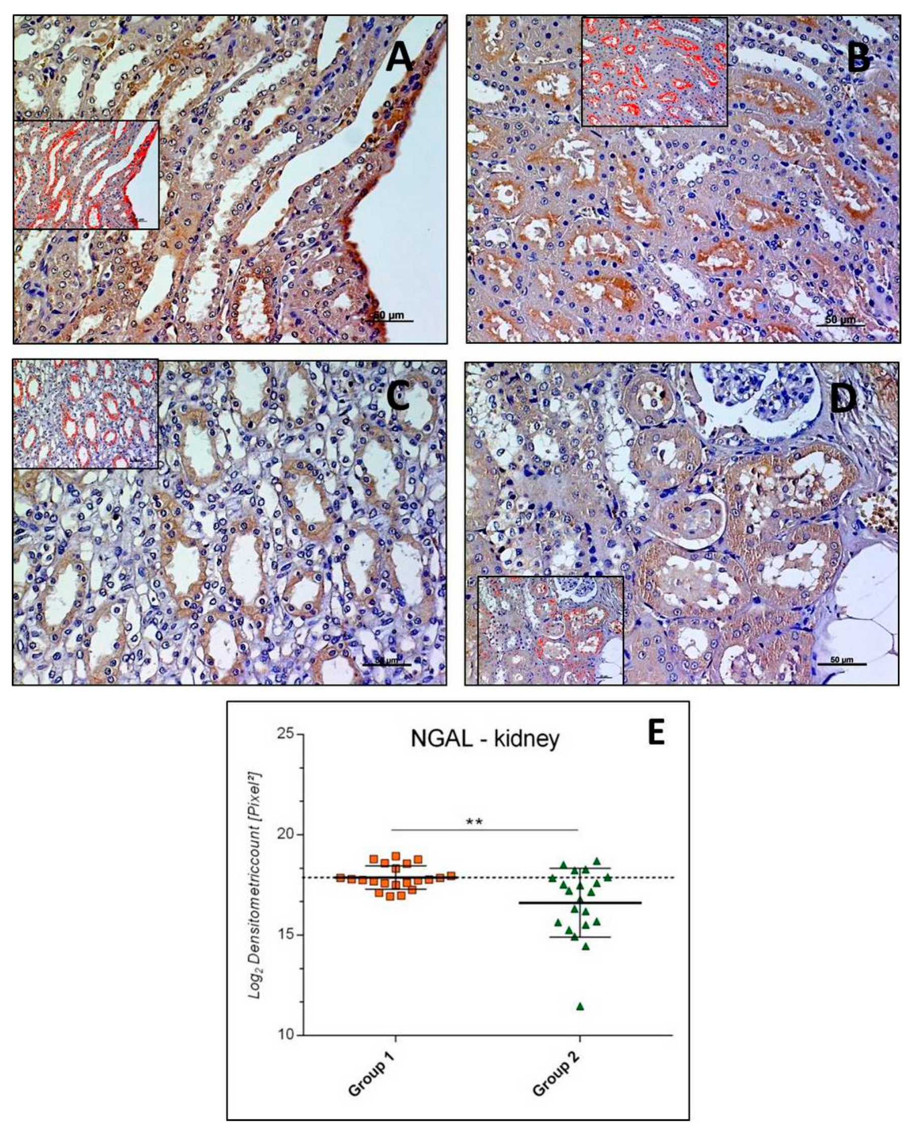Applsci 09 01041 g001 Applsci 09 01041 g001