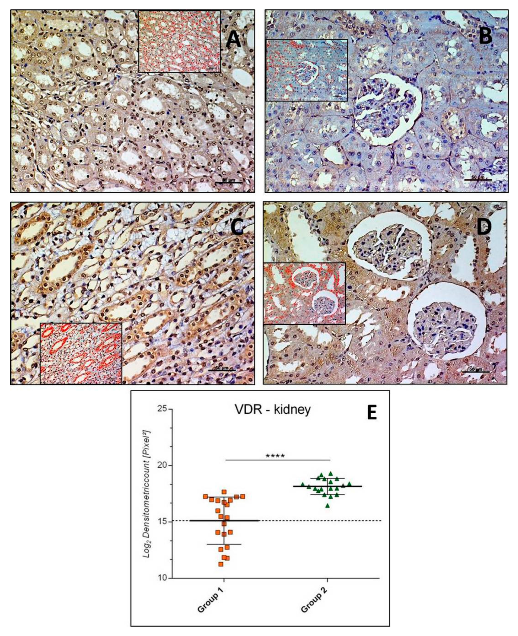 Applsci 09 01041 g002 Applsci 09 01041 g002