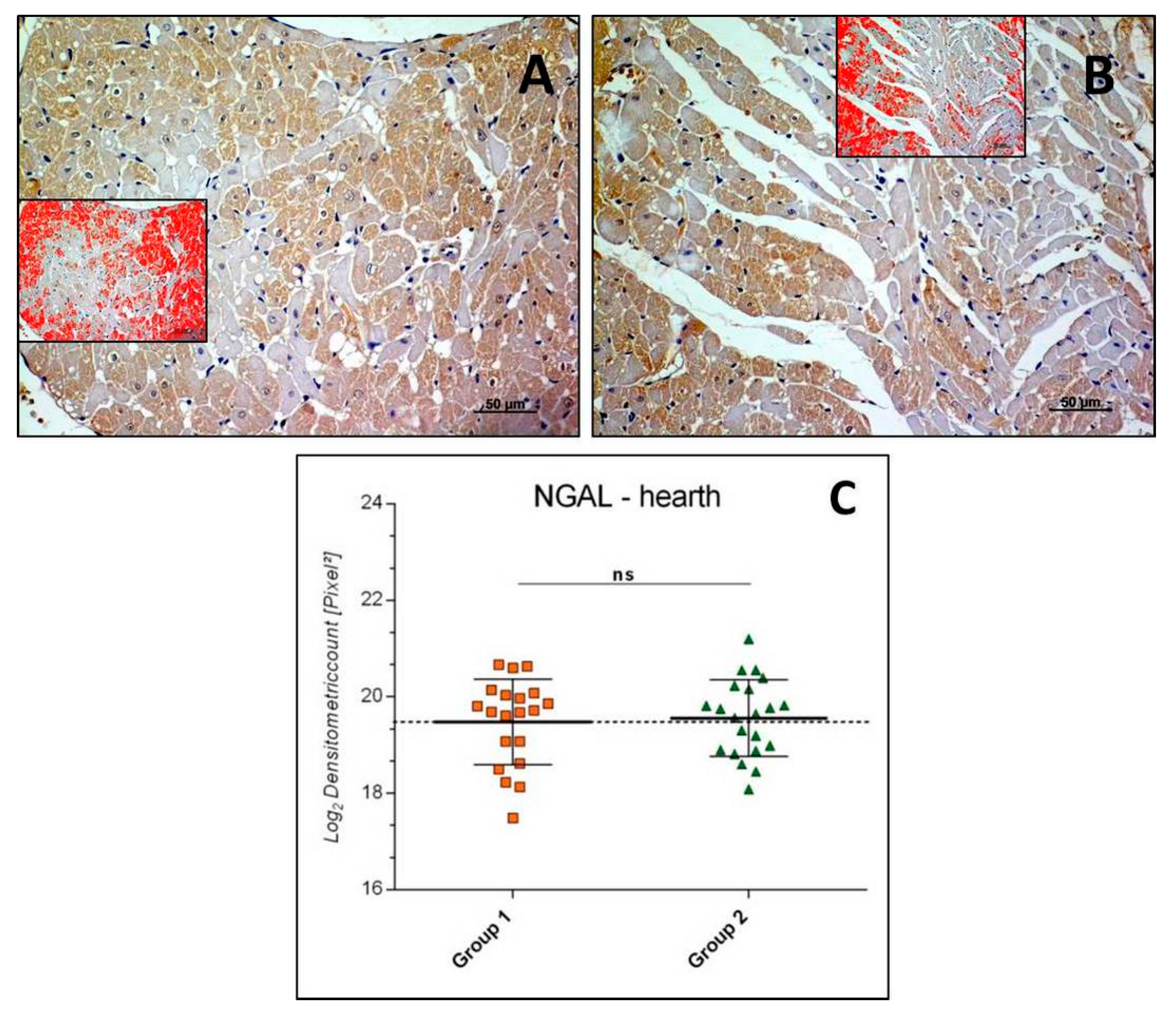 Applsci 09 01041 g003 Applsci 09 01041 g003
