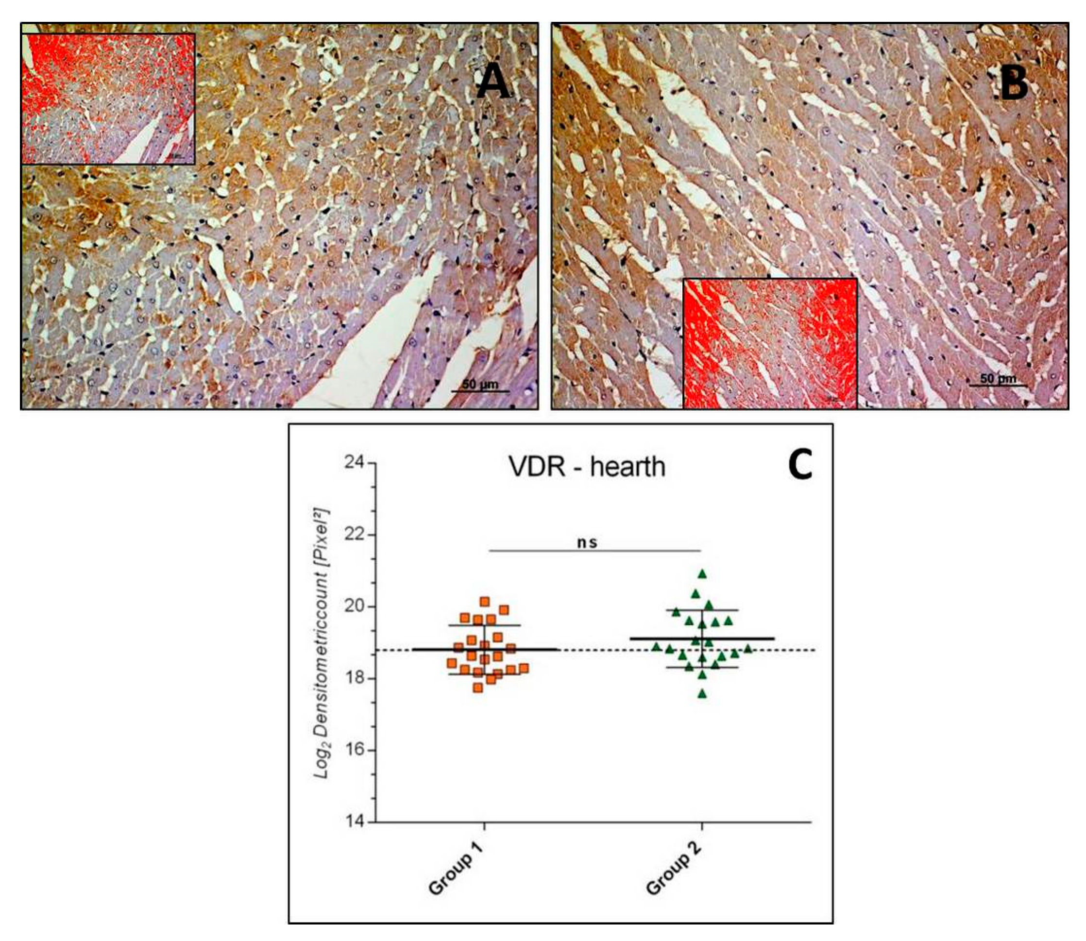 Applsci 09 01041 g004 Applsci 09 01041 g004