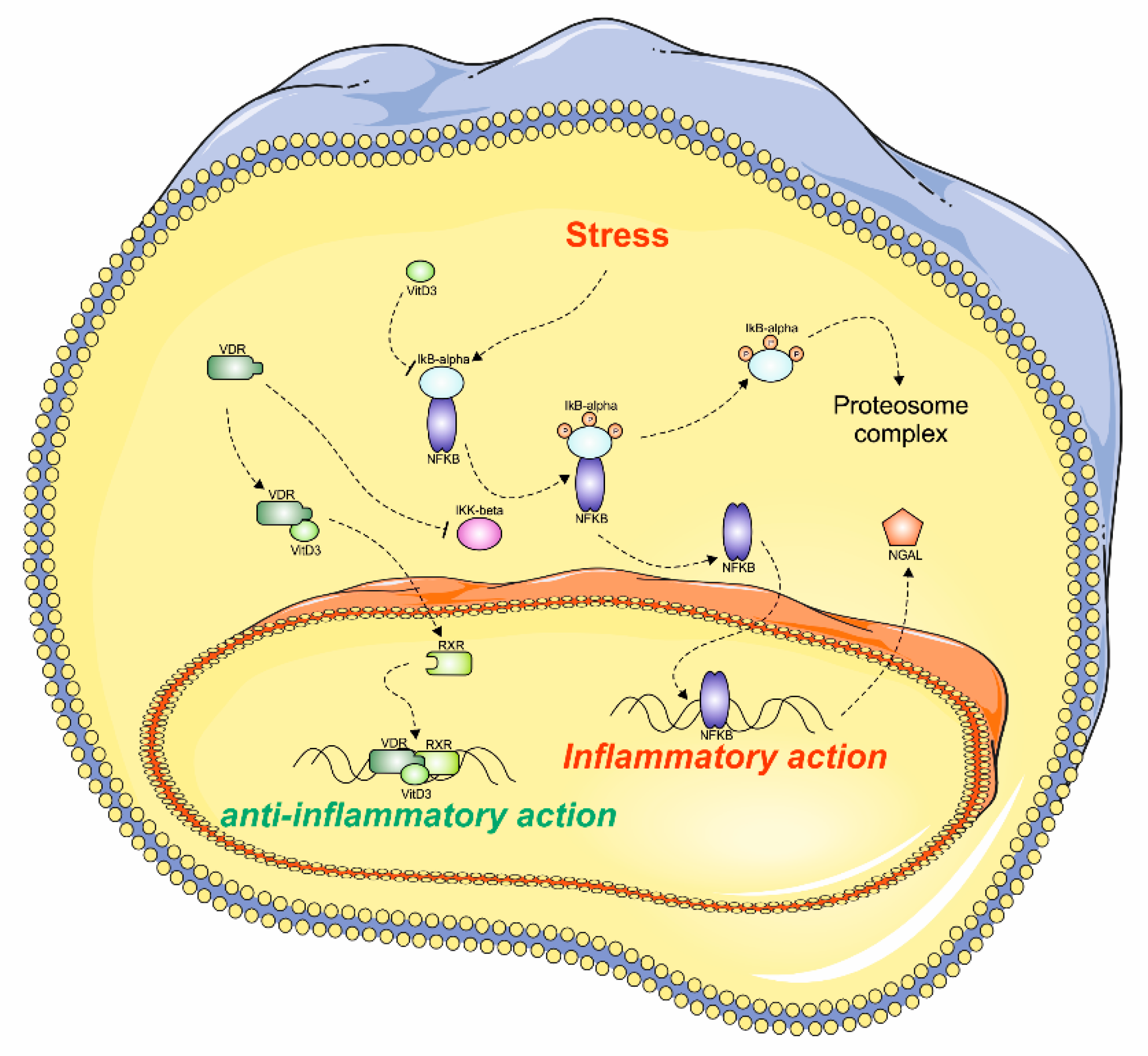 Applsci 09 01041 g005 Applsci 09 01041 g005