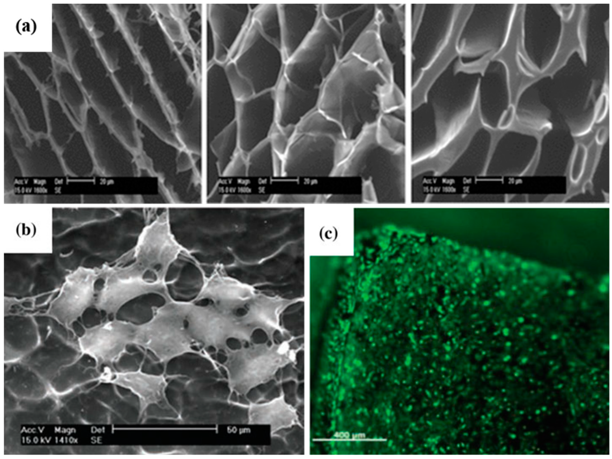 Applsci 09 01070 g005 Applsci 09 01070 g005