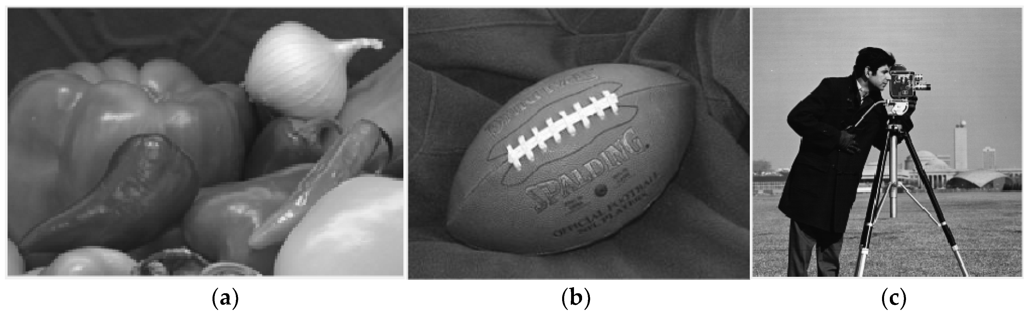 Applsci 09 01084 g009 550