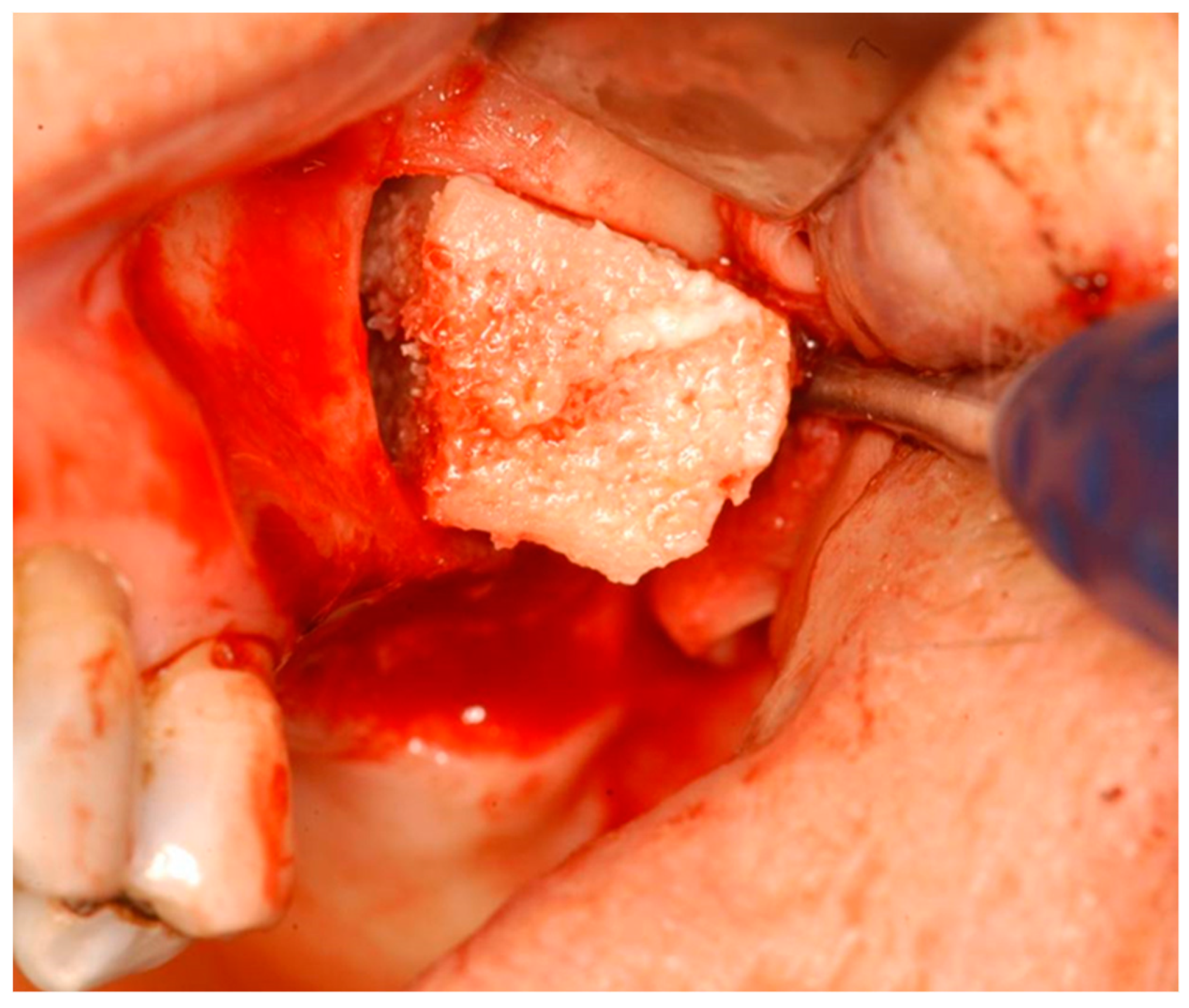 Applsci 09 01119 g001 Applsci 09 01119 g001