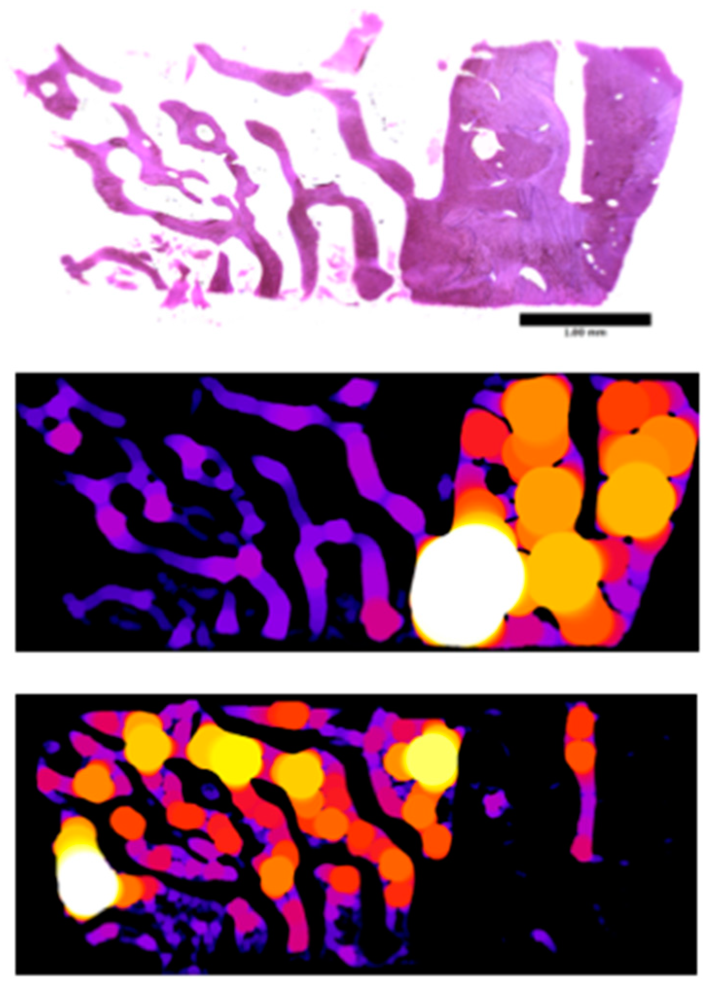 Applsci 09 01119 g005 Applsci 09 01119 g005