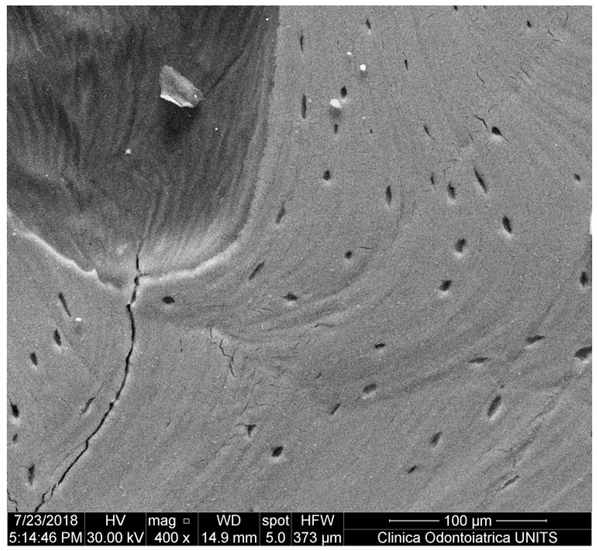 Applsci 09 01119 g006 Applsci 09 01119 g006